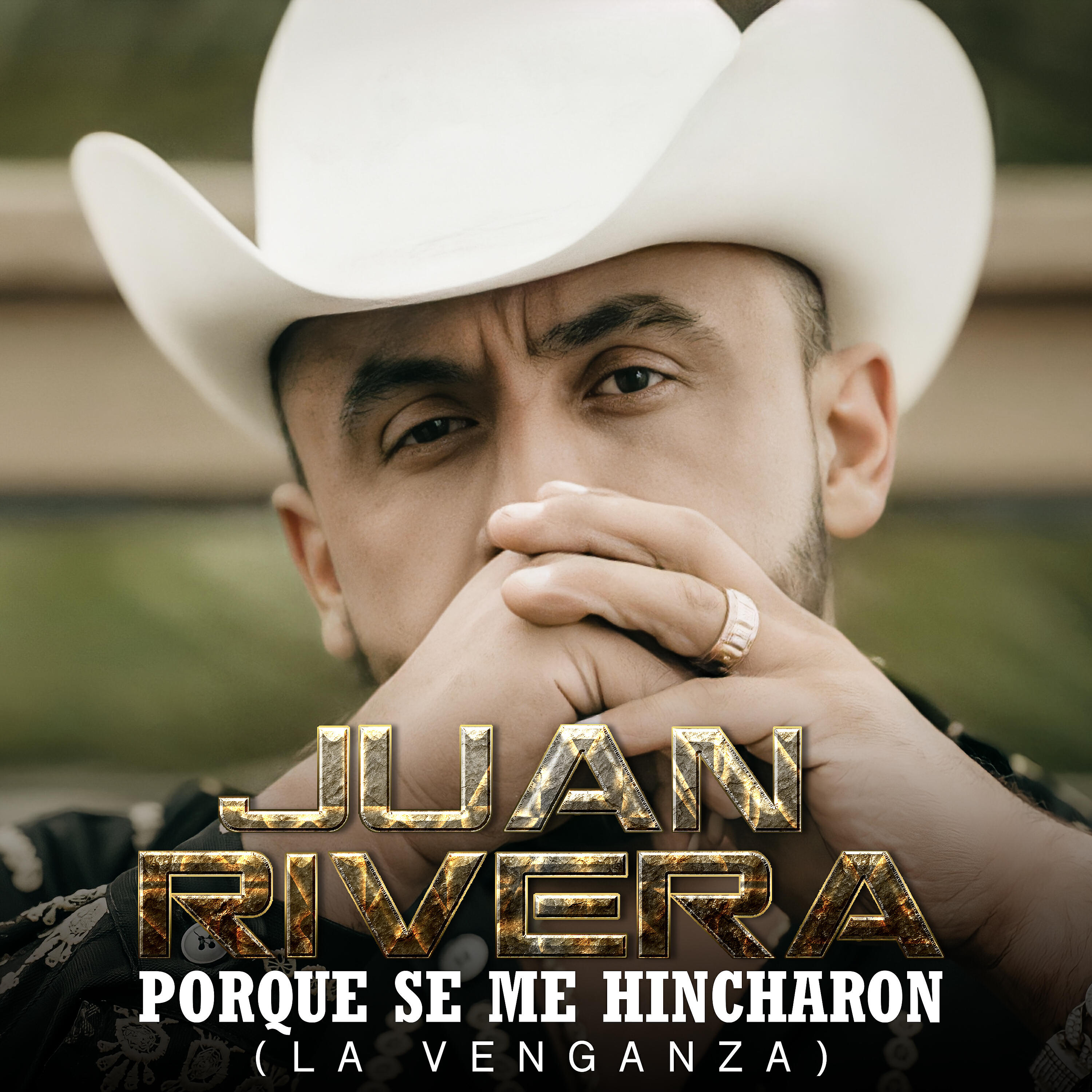 Релиз Porque Se Me Hincharon (La Venganza)