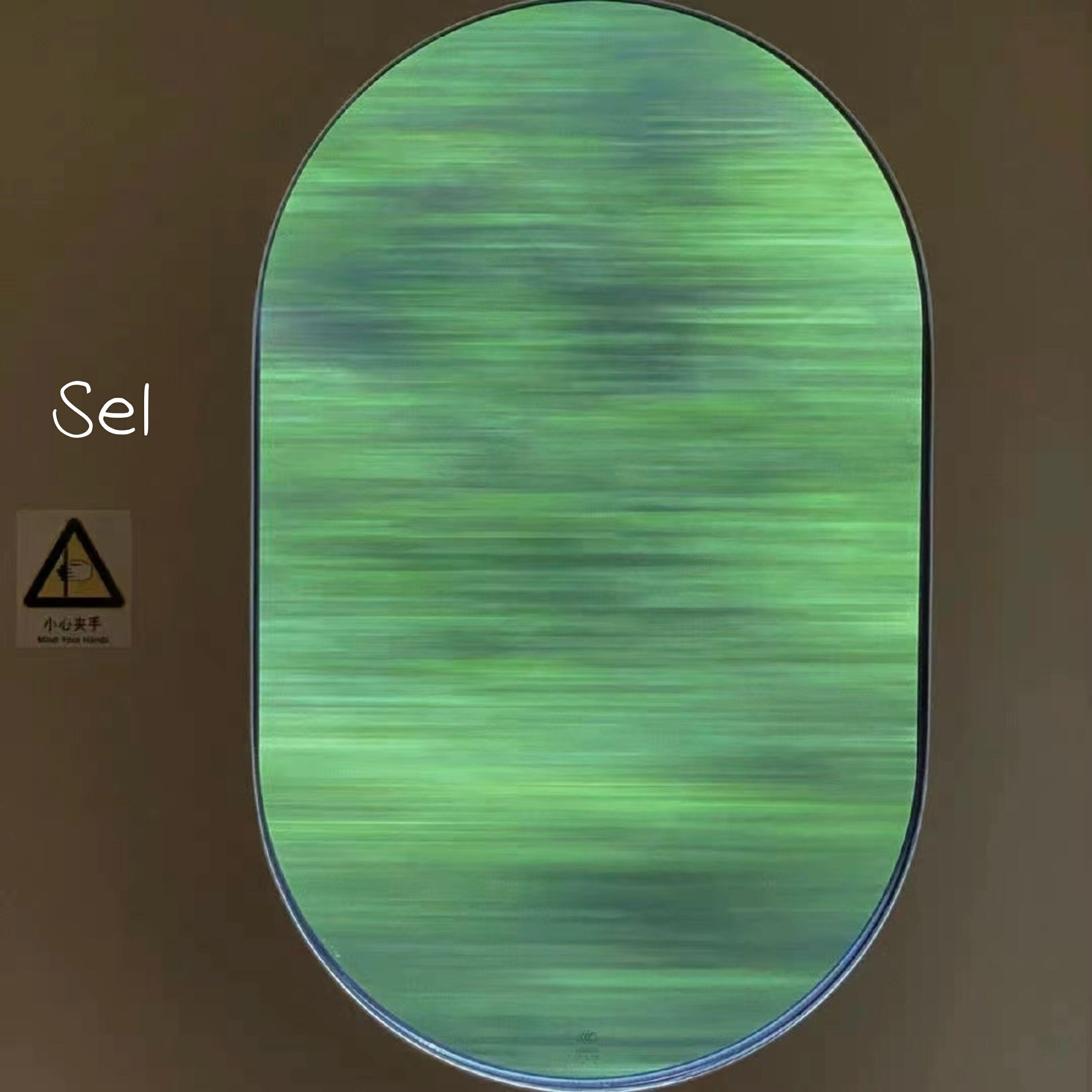 Релиз Sel
