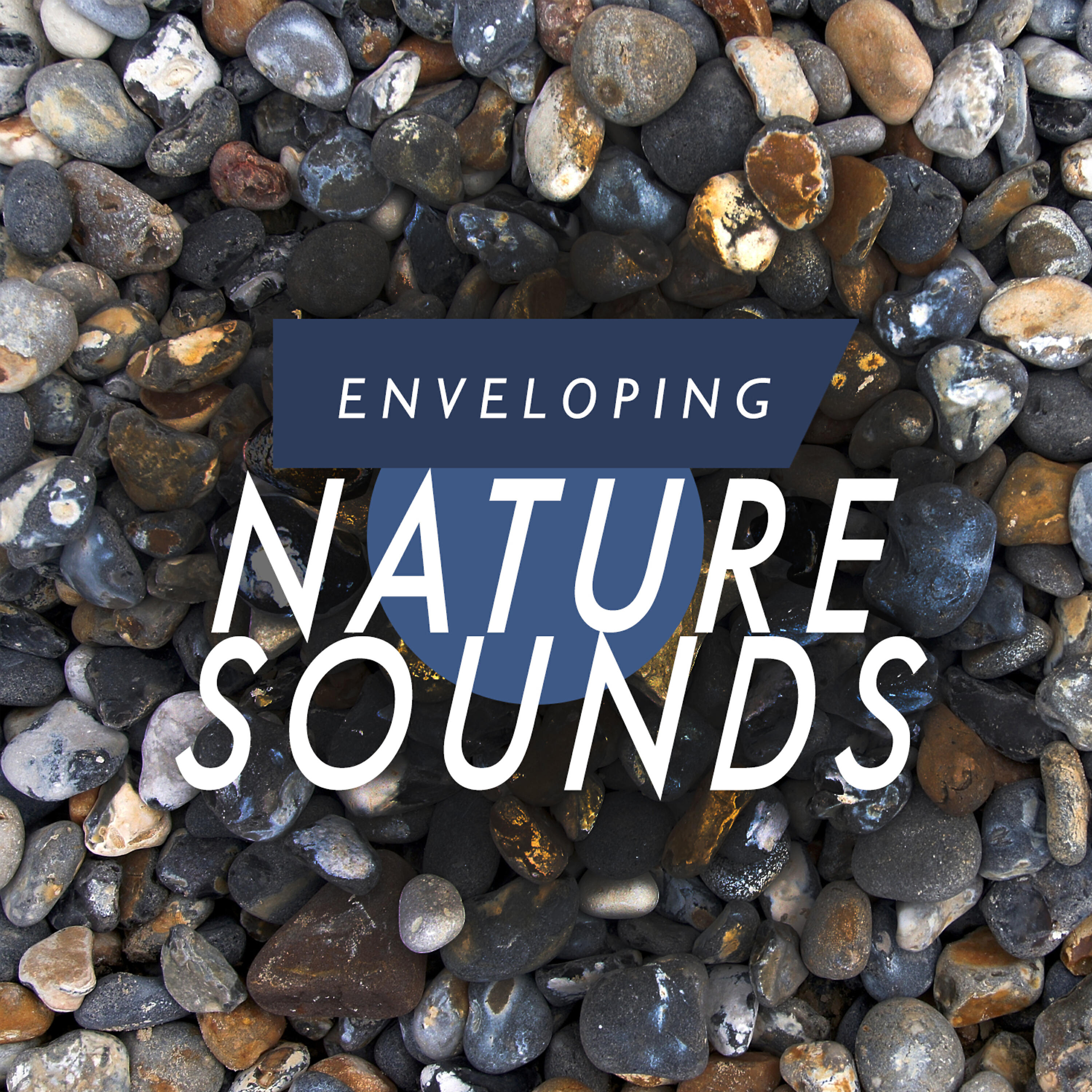 Релиз Enveloping Nature Sounds