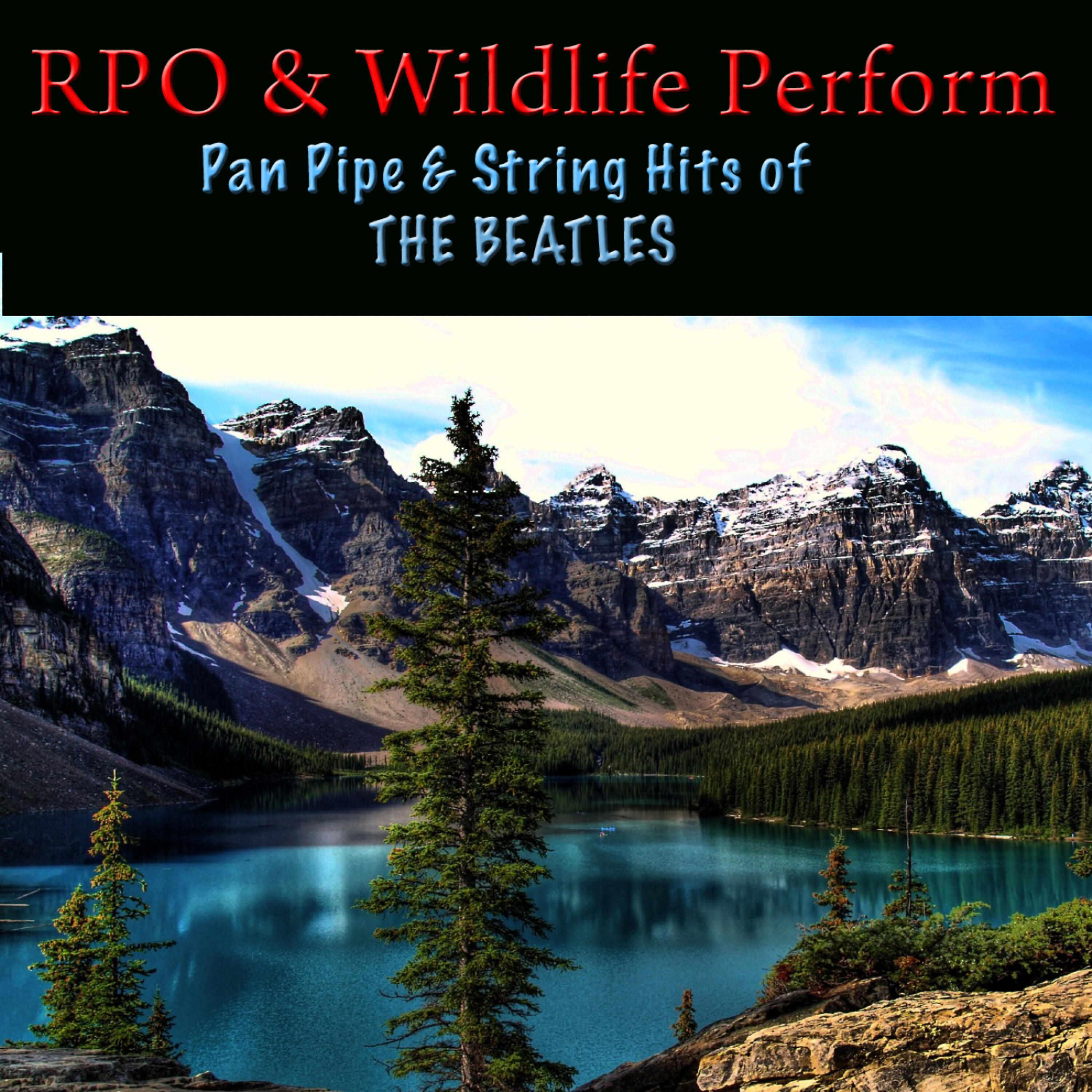 Релиз Pan Pipe & String Hits of The Beatles