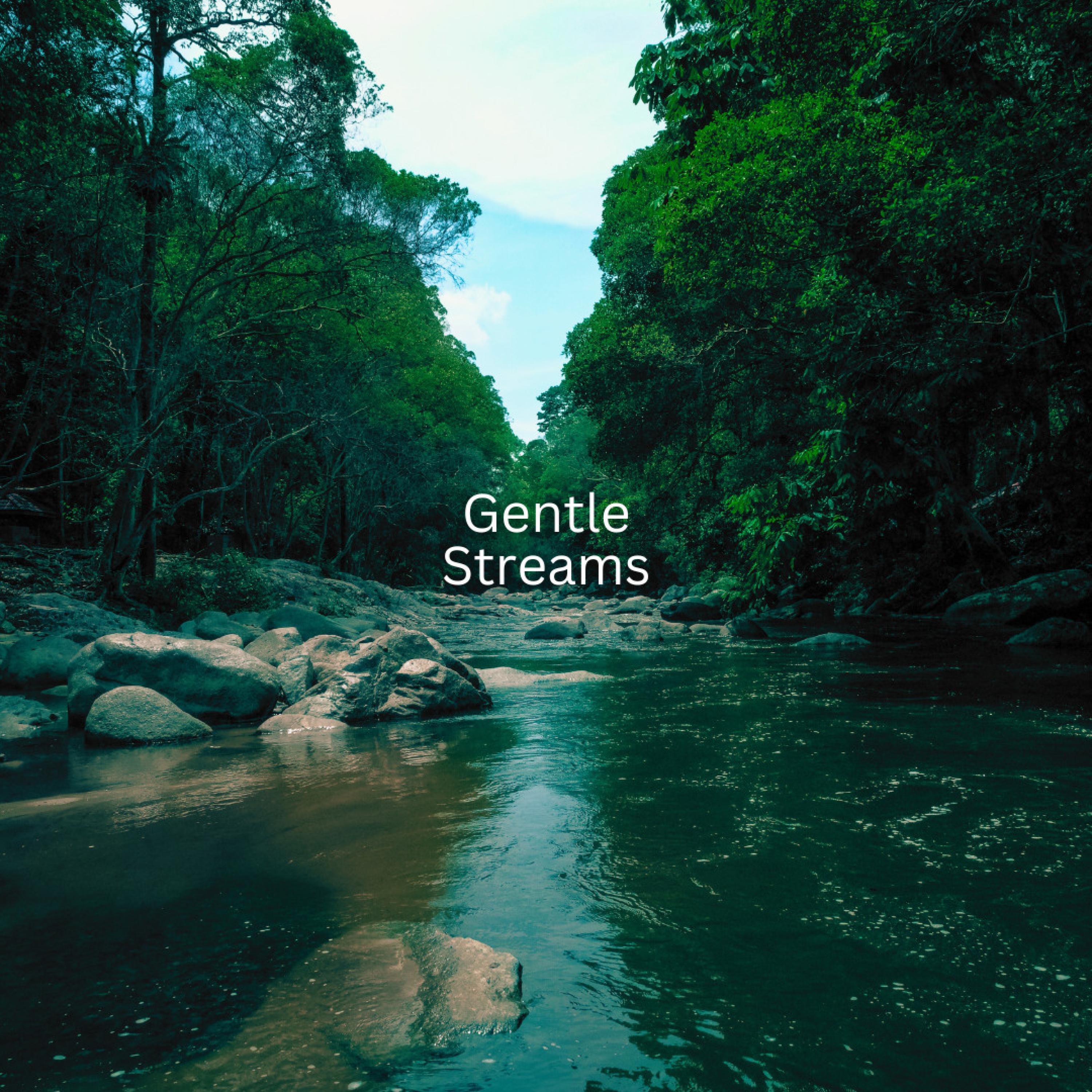 Релиз Gentle Streams