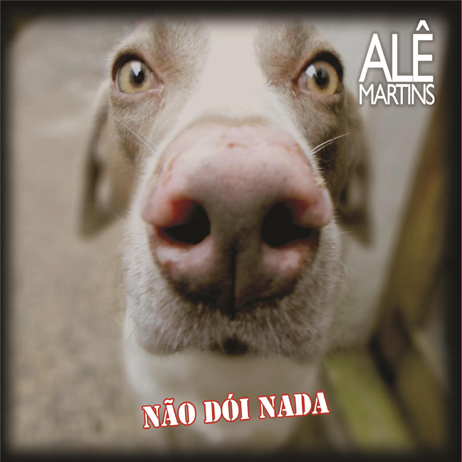 Релиз Não Dói Nada