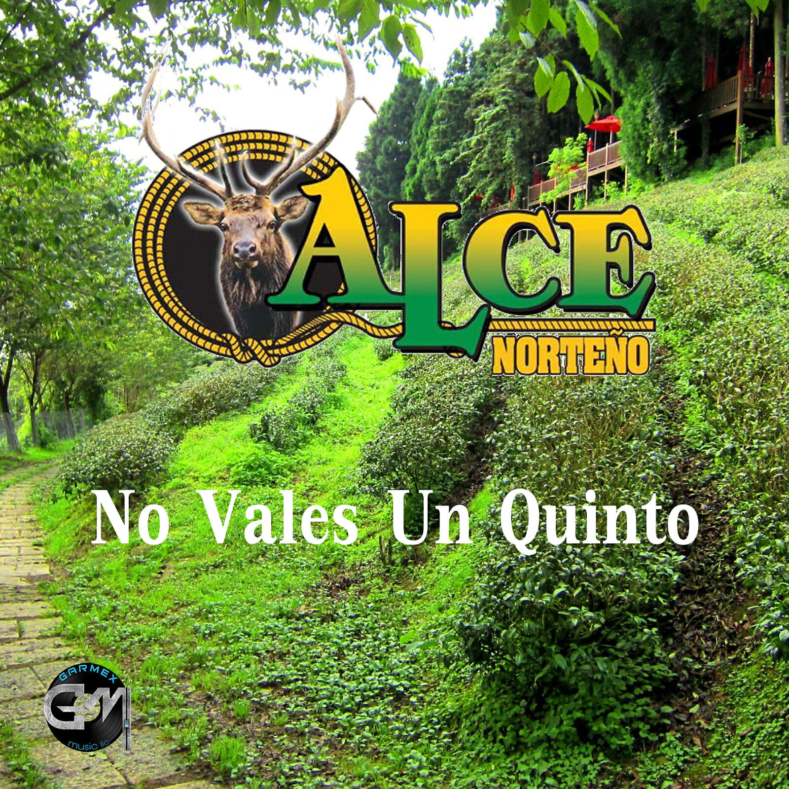 Релиз No Vales Un Quinto