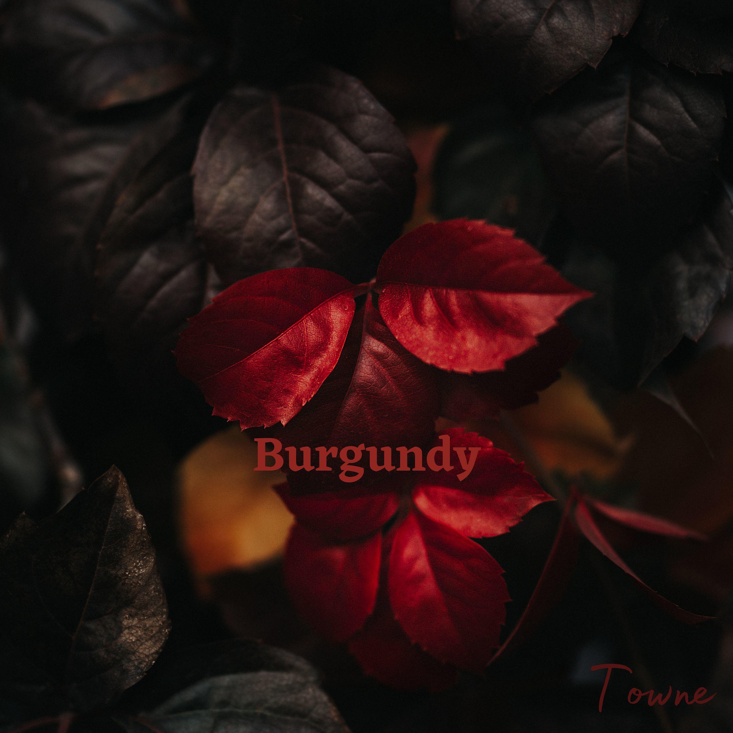 Релиз Burgundy