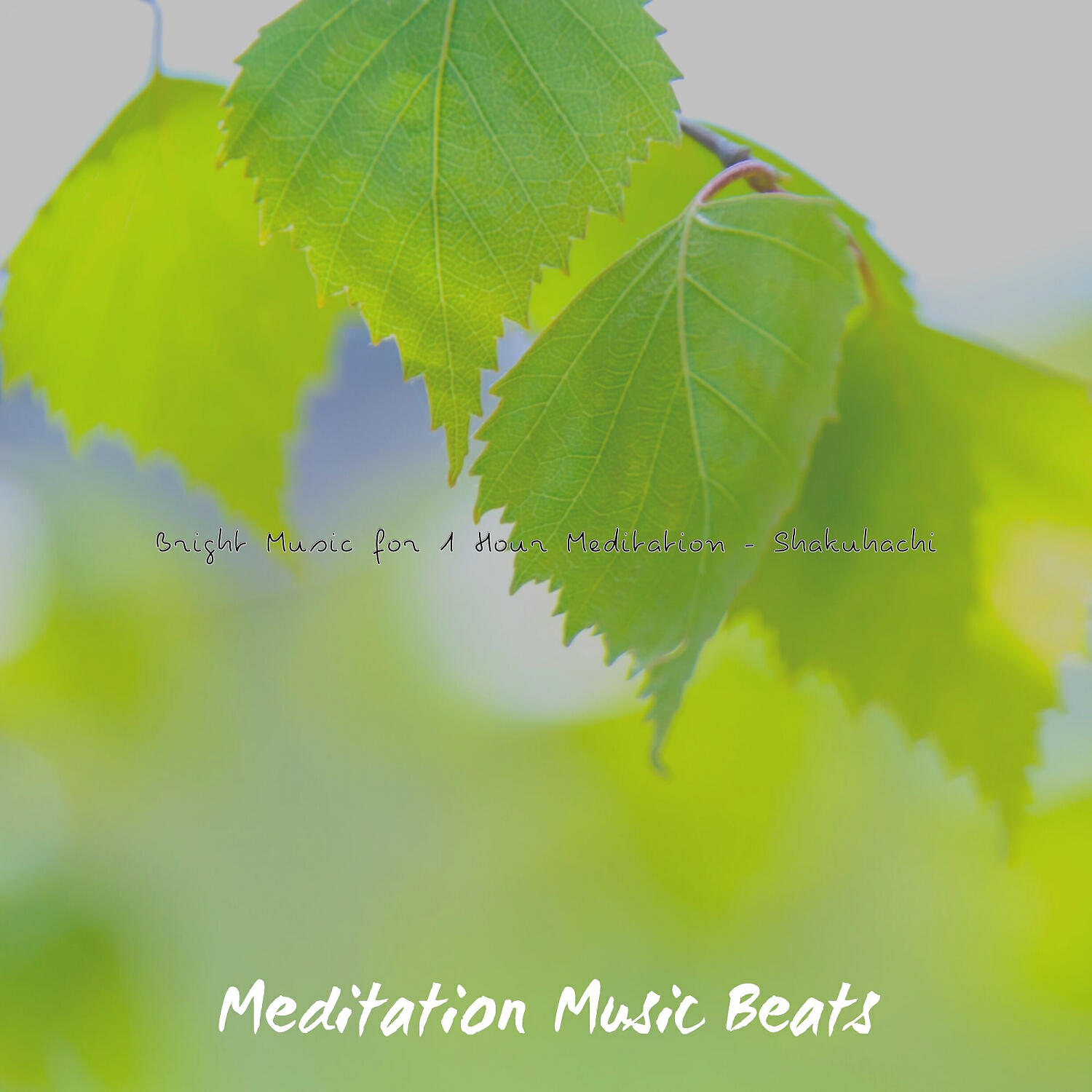 Релиз Bright Music for 1 Hour Meditation - Shakuhachi