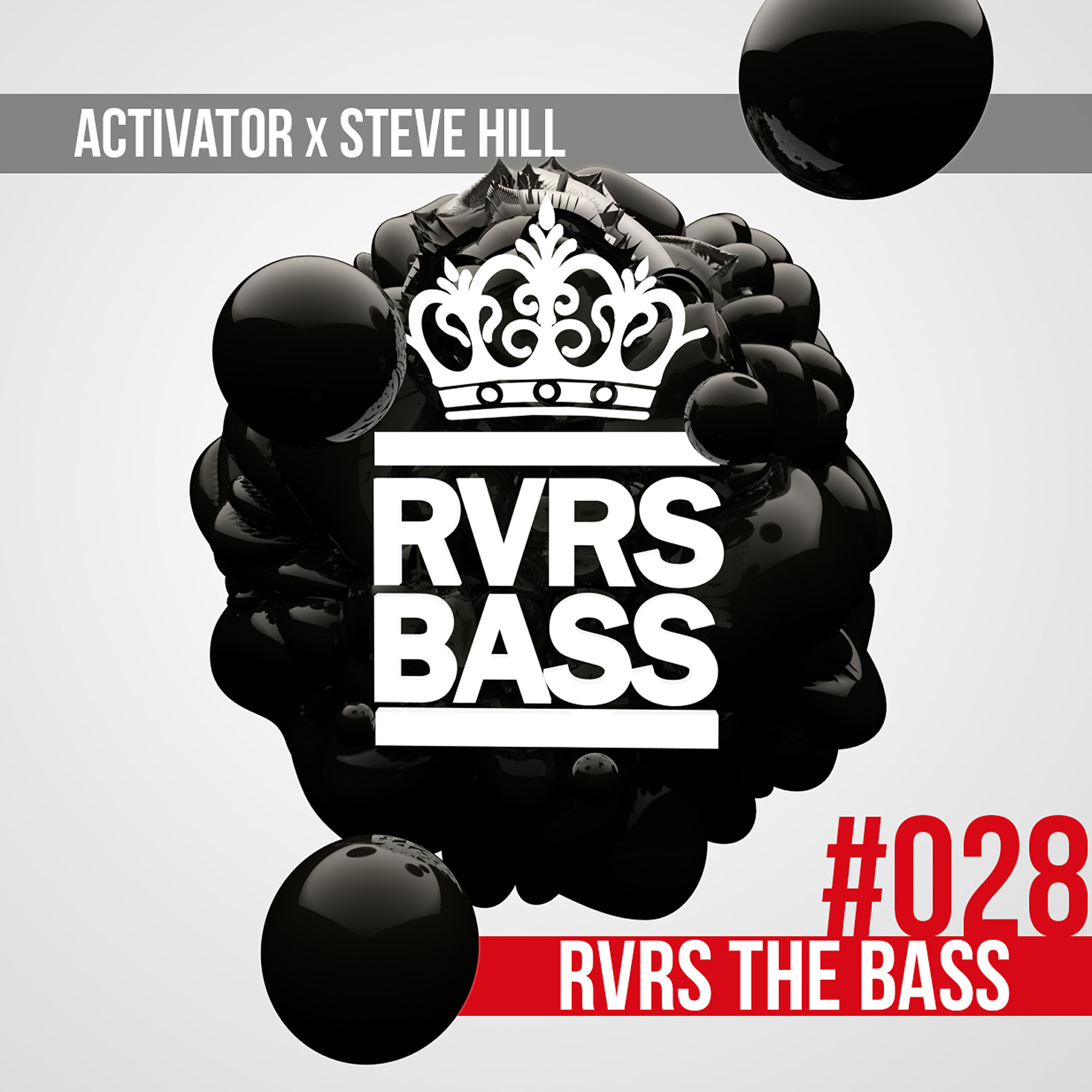 Релиз RVRS the Bass