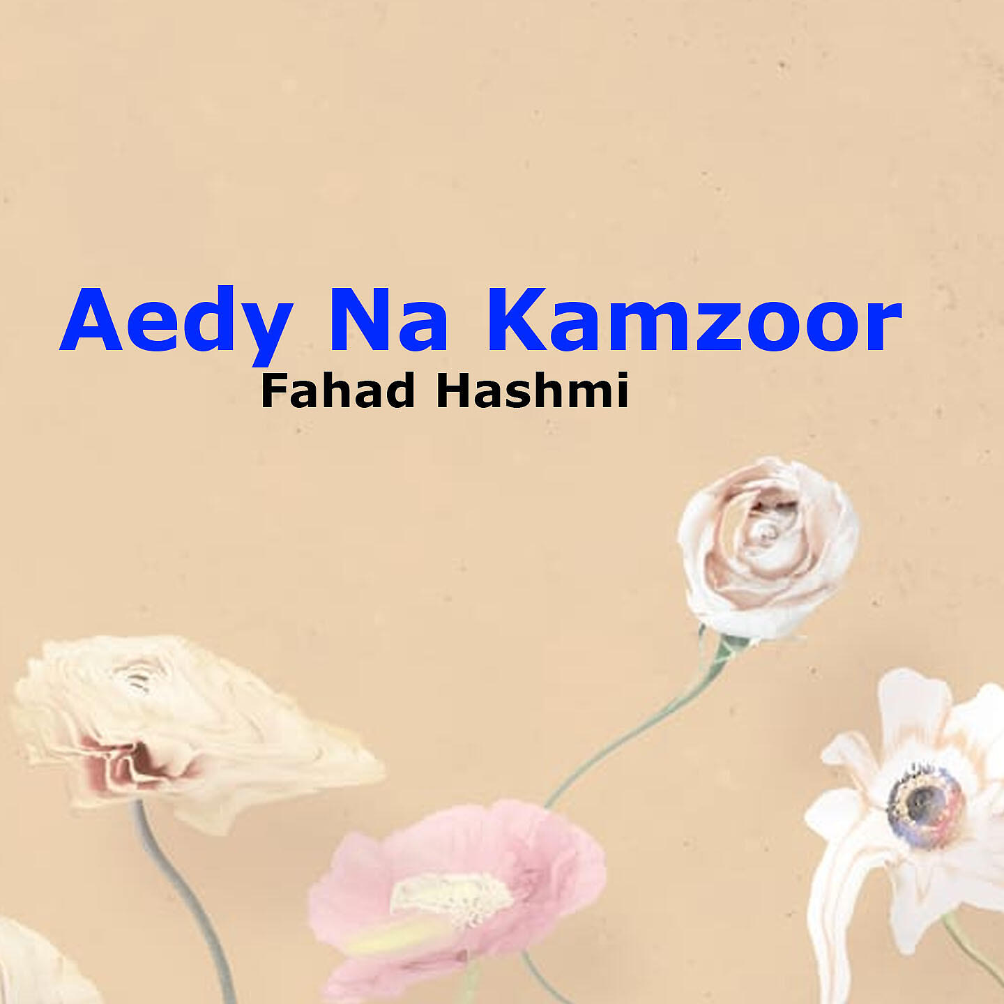Fahad Hashmi