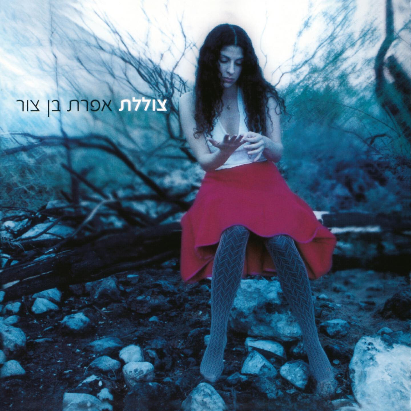 Релиз צוללת