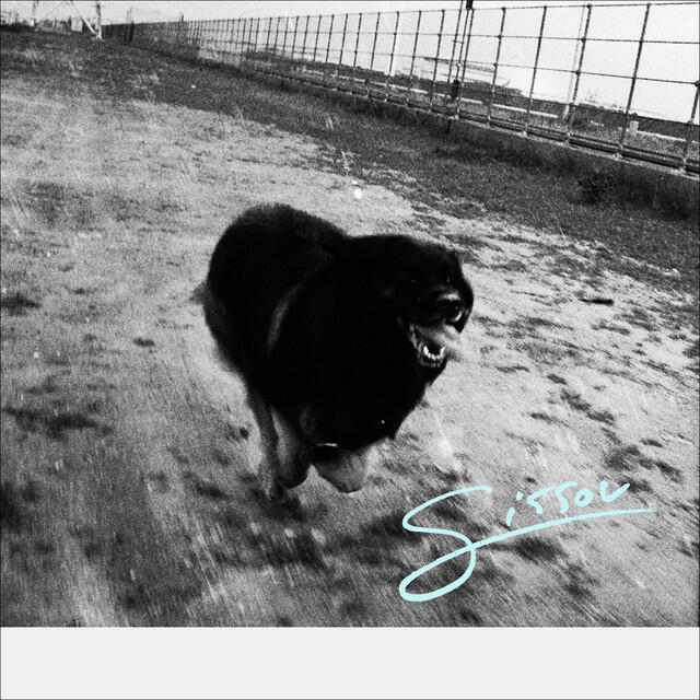 Релиз SISSOU