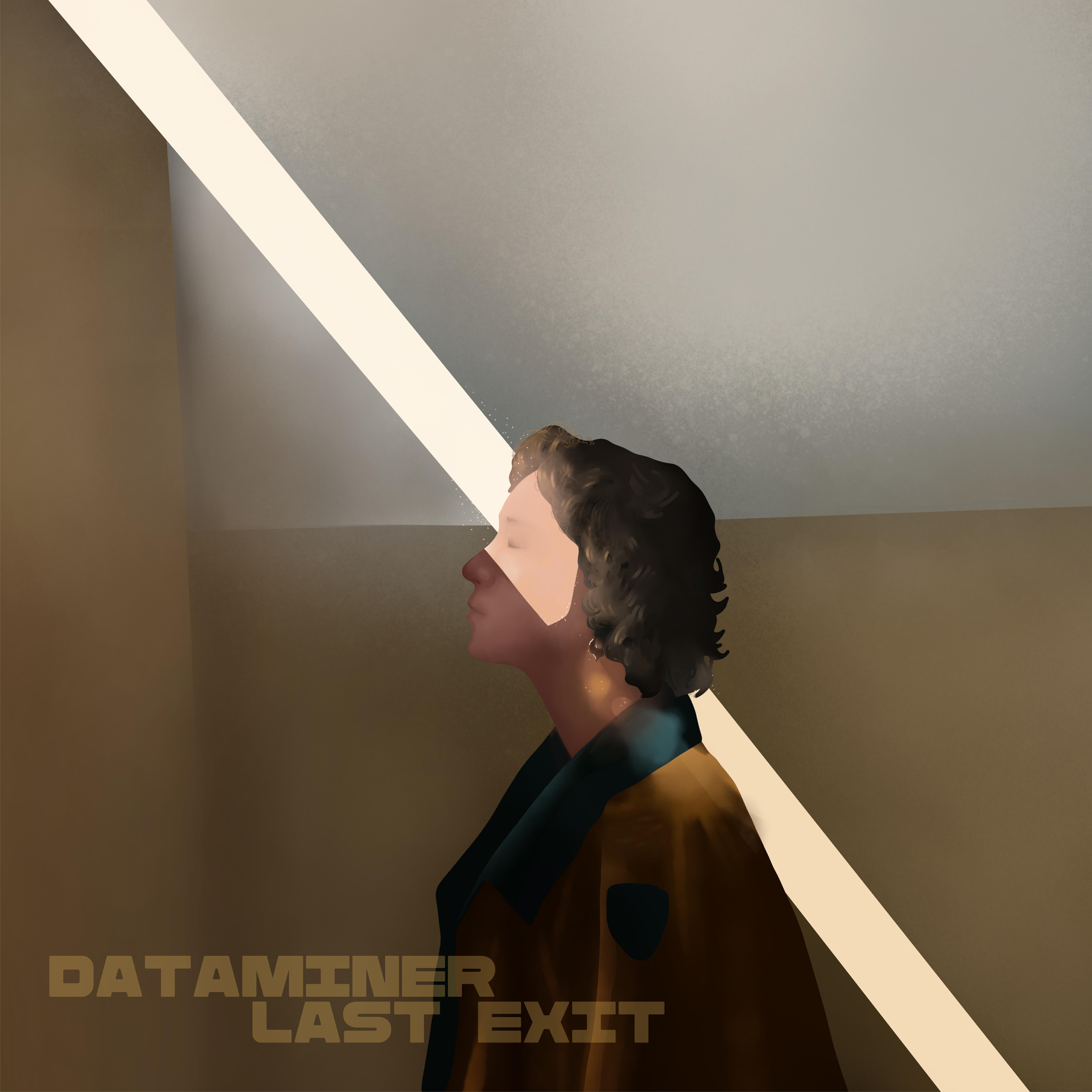 Релиз Dataminer