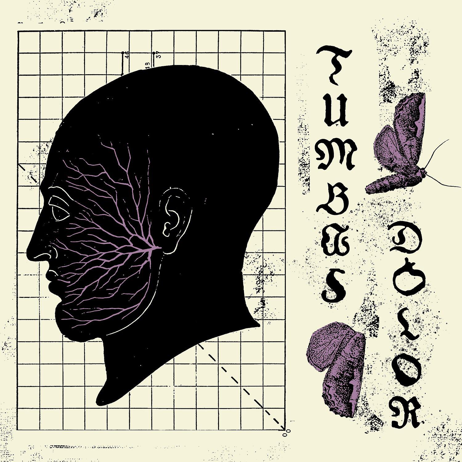 Релиз Dolor