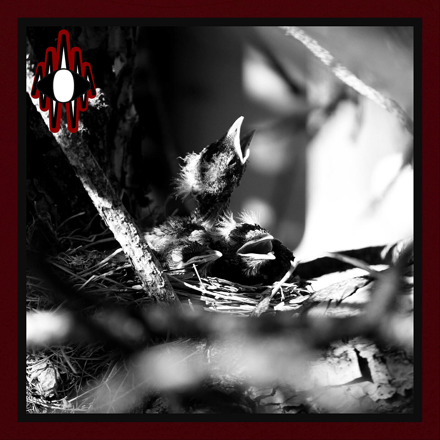Релиз Letter in Vain