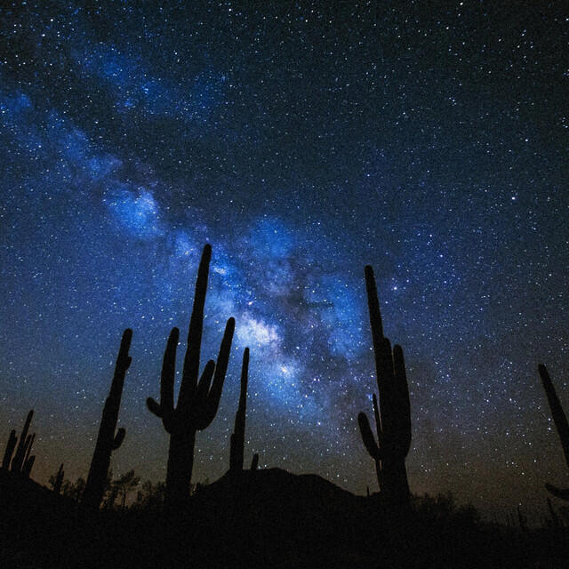Релиз We Are Stardust