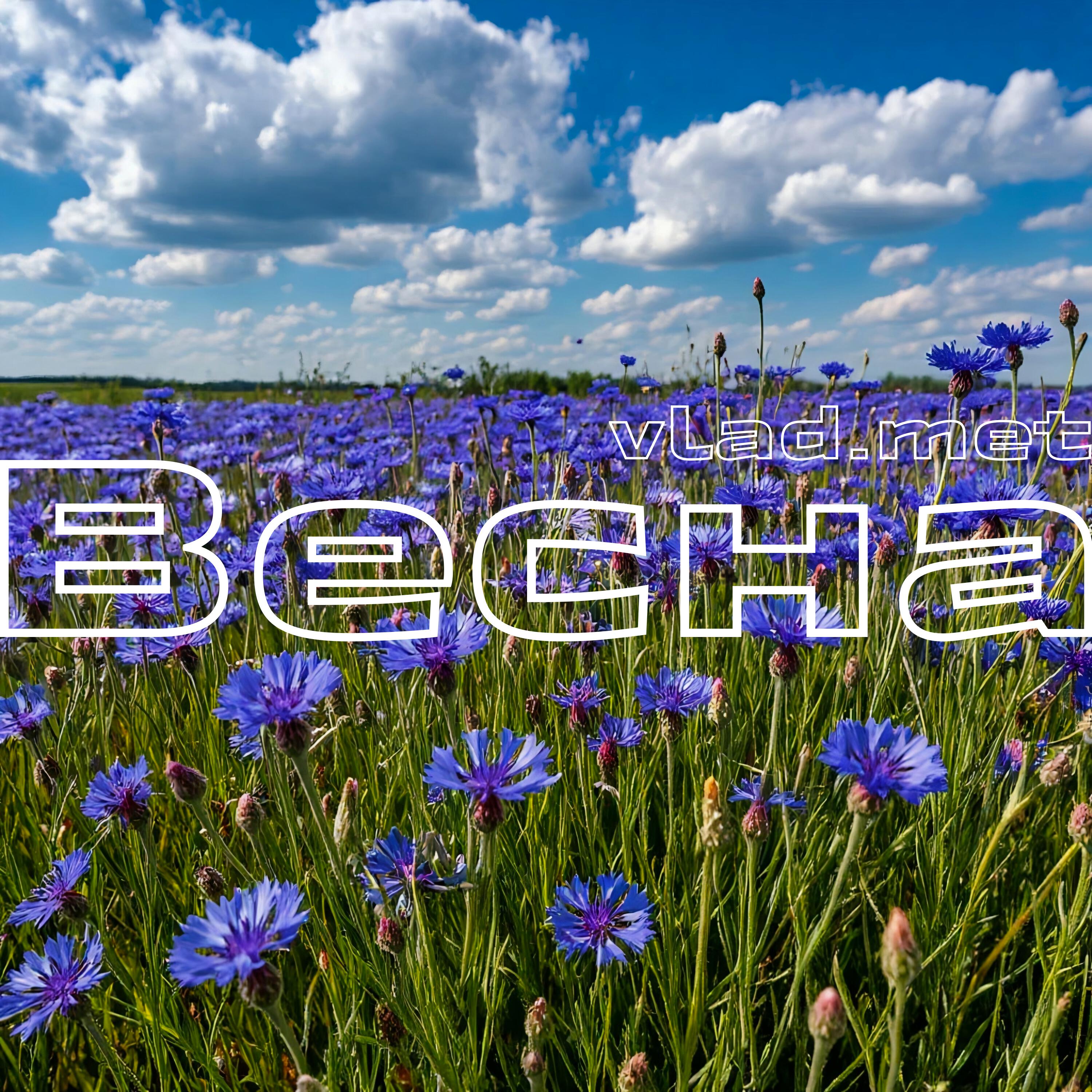 Релиз Весна