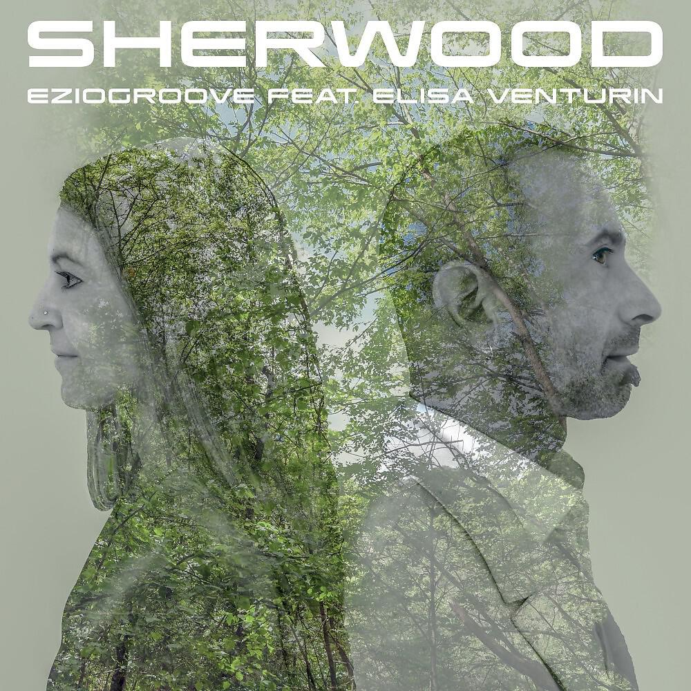 Релиз Sherwood (Radio Edit)