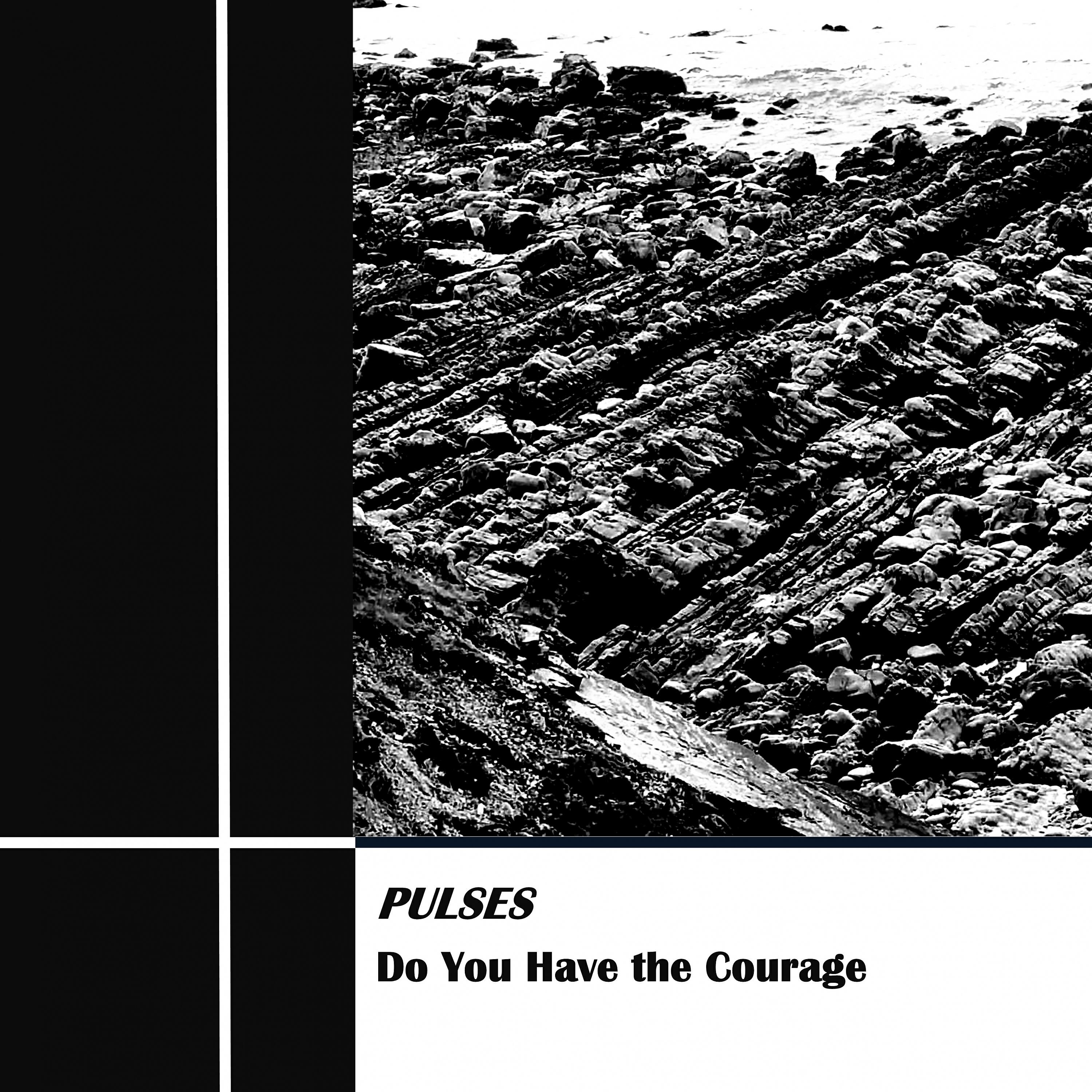Релиз Do You Have the Courage