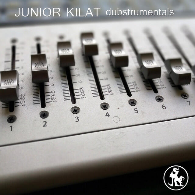 Релиз Dubstrumentals