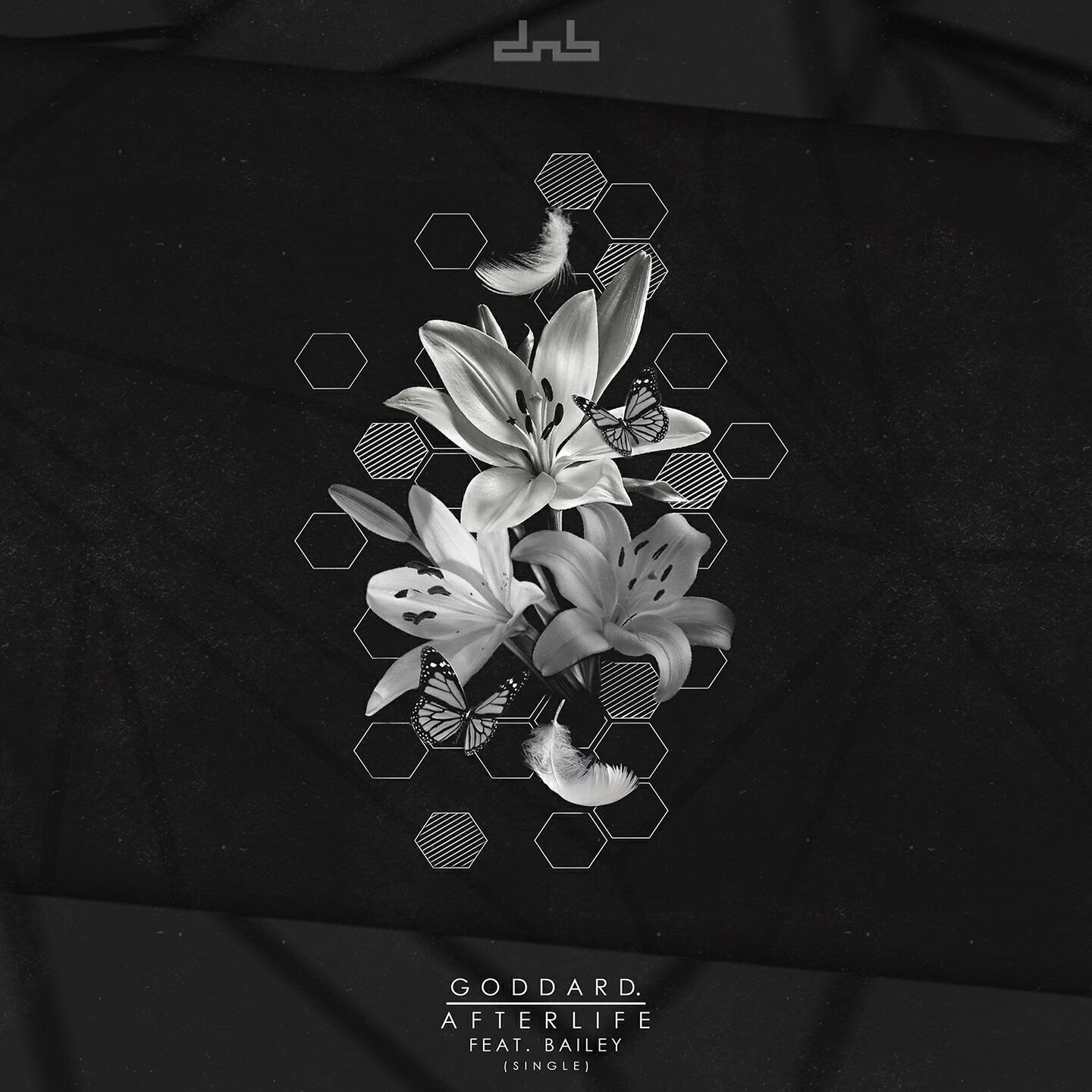 Релиз Afterlife (feat. Bailey)