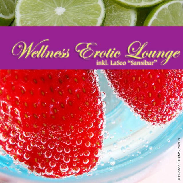 Релиз Wellness Erotic Lounge