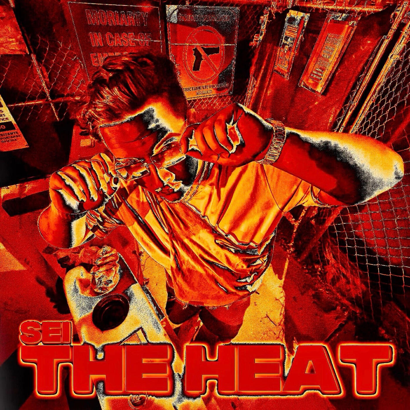 Релиз The Heat
