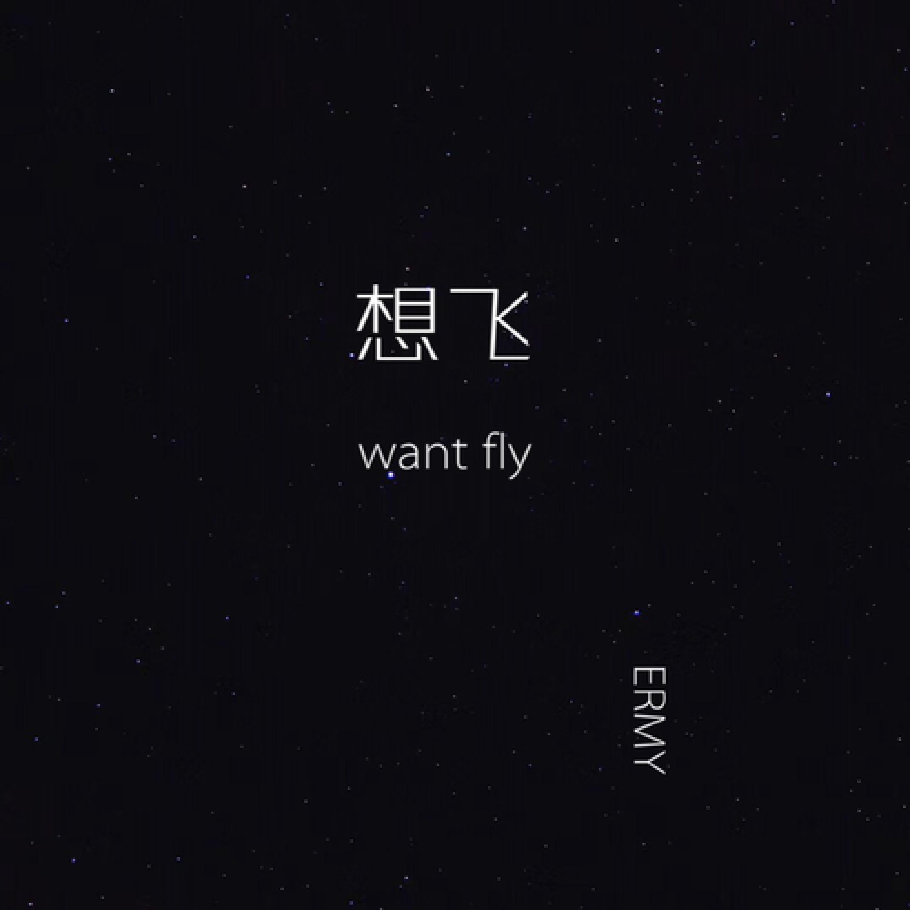 Релиз 想飞