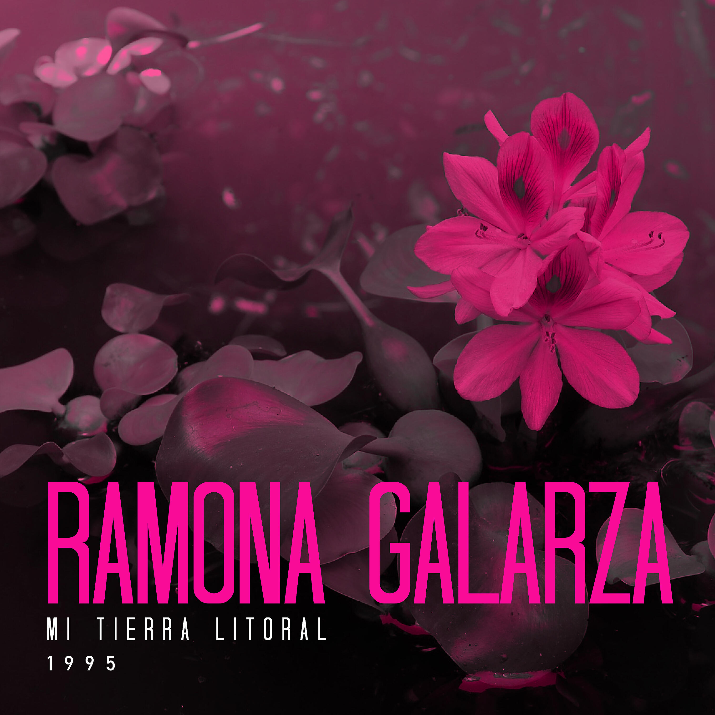 Релиз Mi tierra litoral