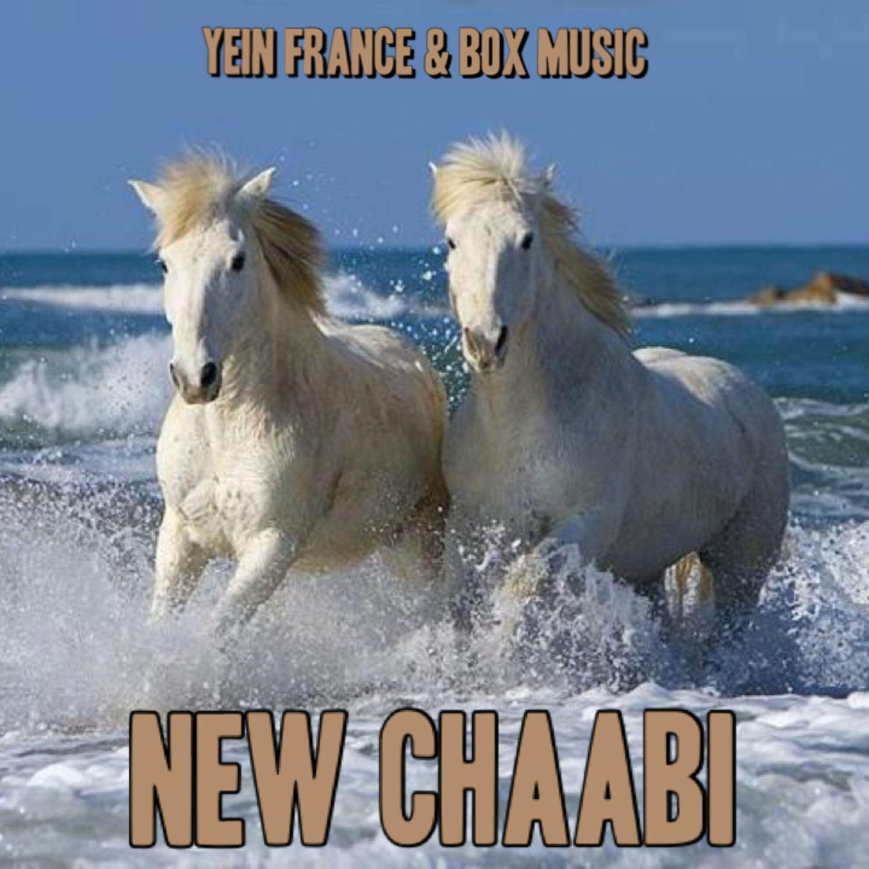 Релиз New Chaabi