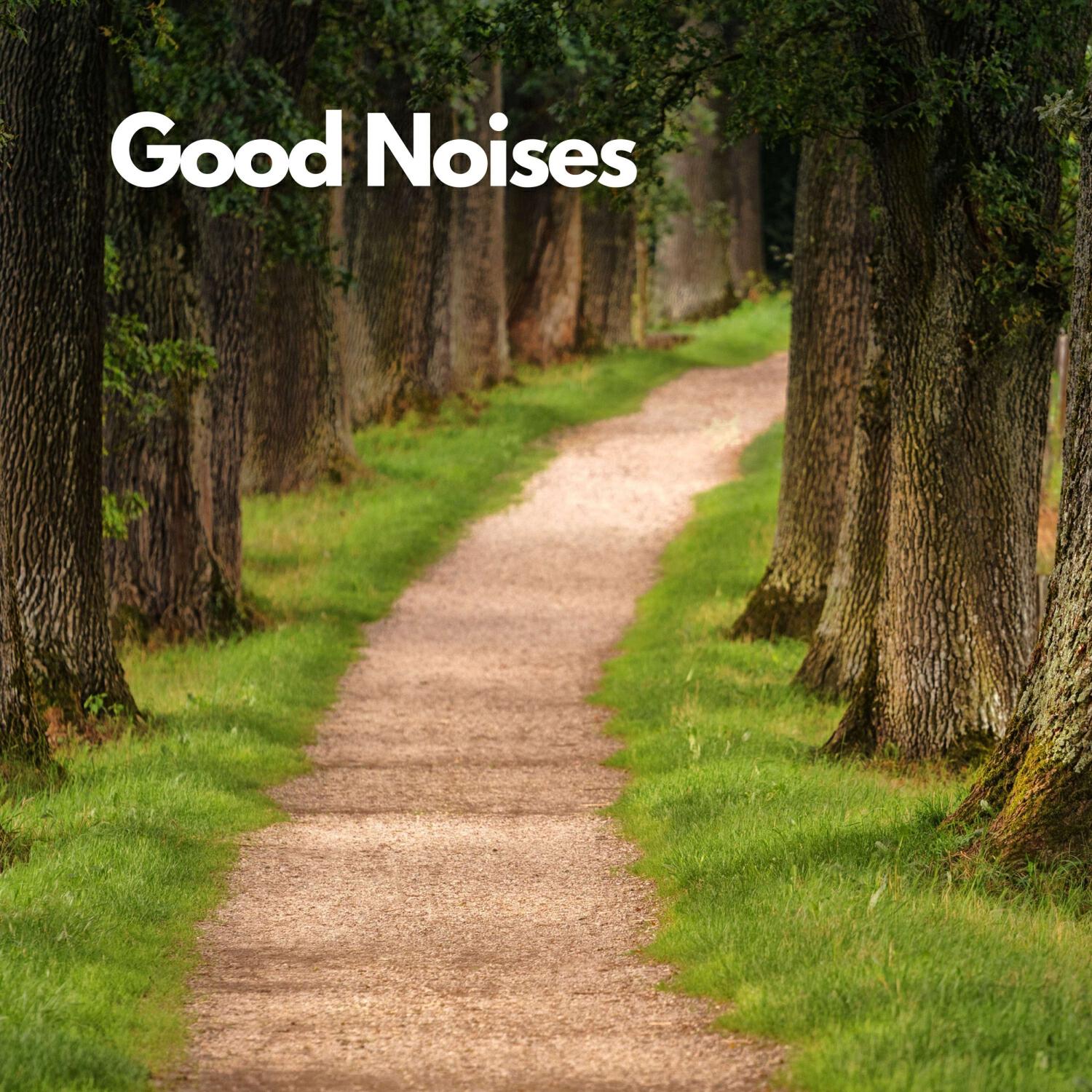 Релиз Good Noises