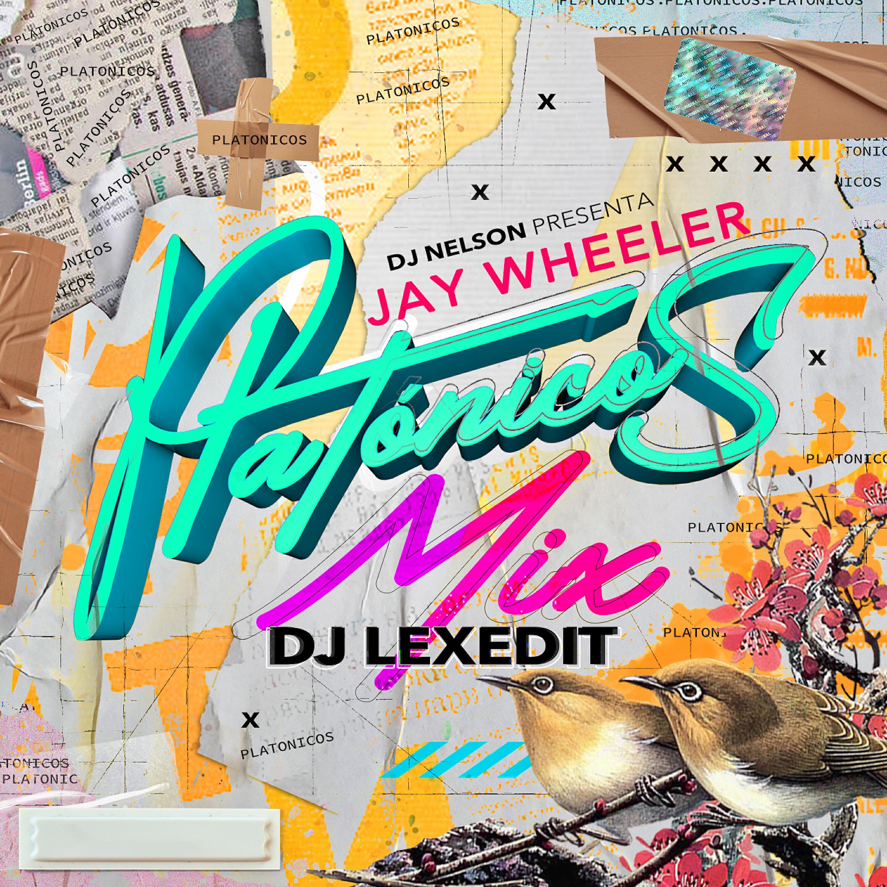 LeXedit