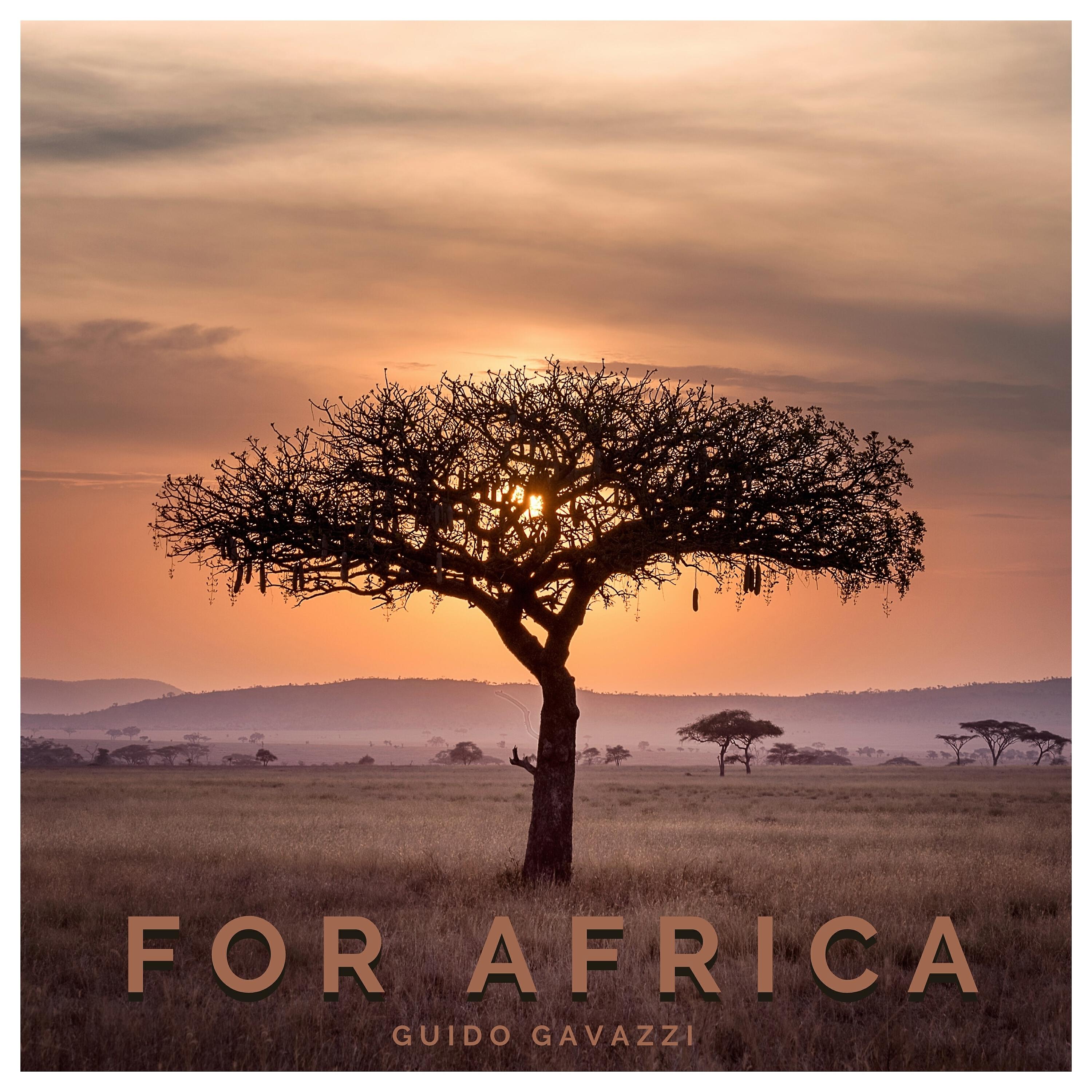 Релиз For Africa