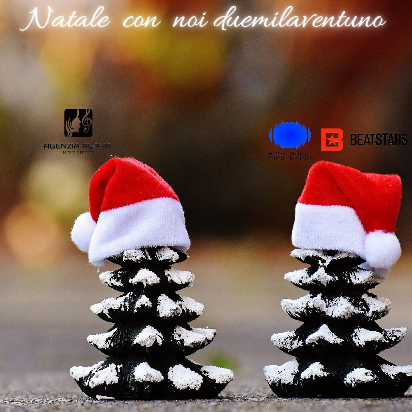 Постер альбома Natale con noi duemilaventuno
