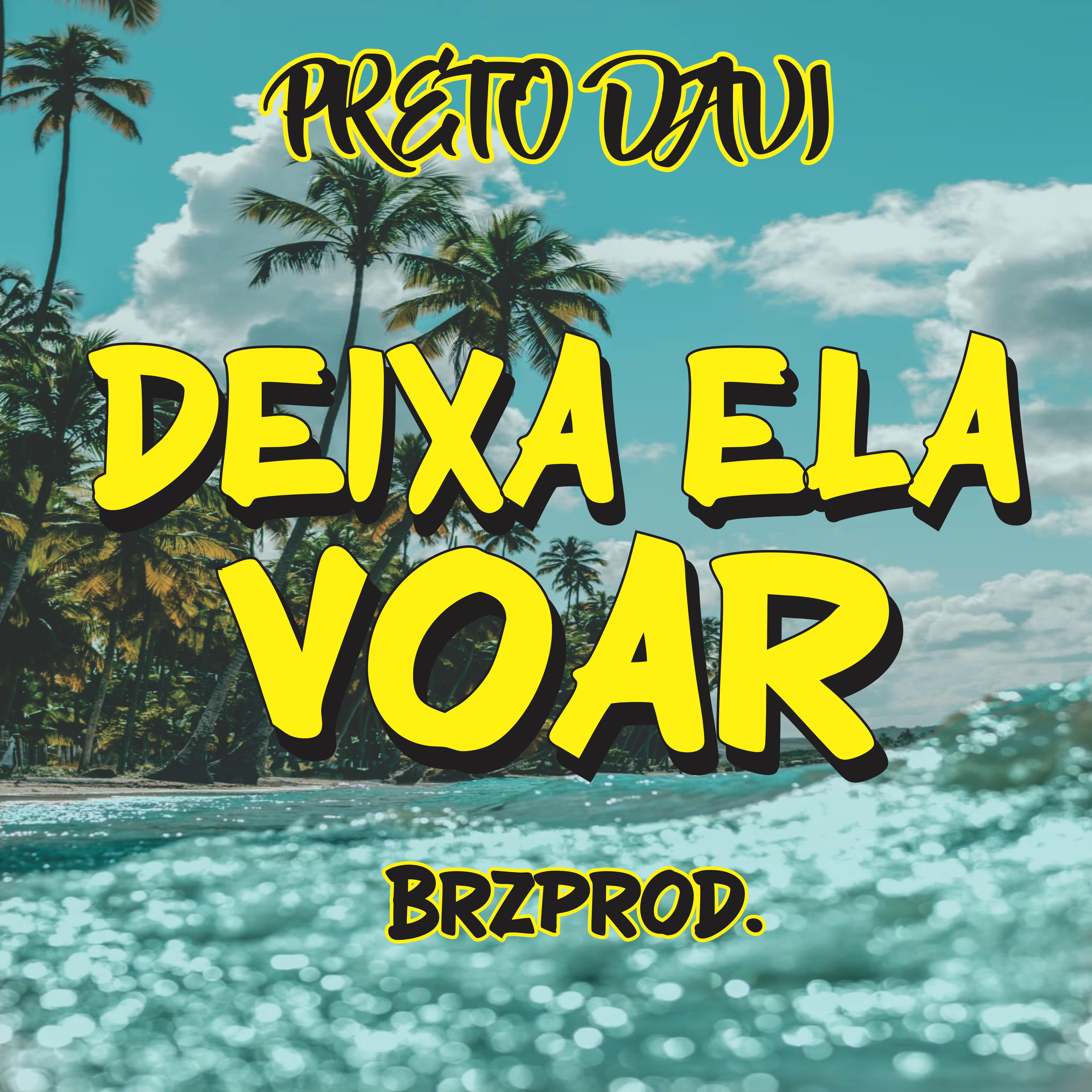 Релиз Deixa Ela Voar