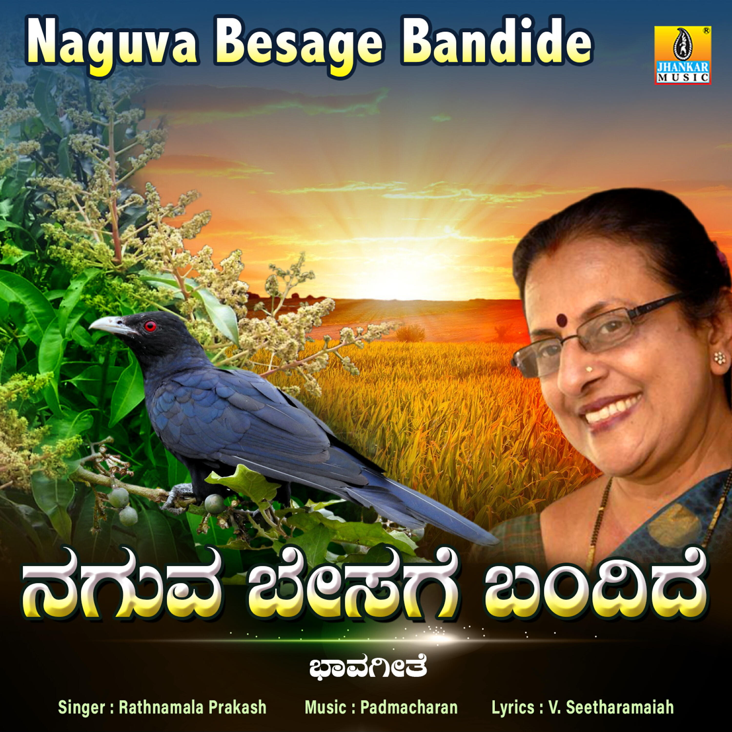 Релиз Naguva Besage Bandide - Single
