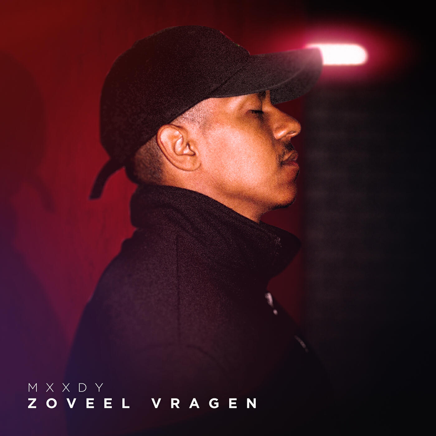 Релиз Zoveel Vragen