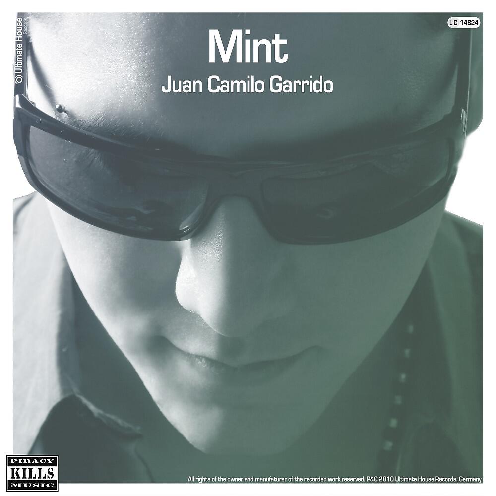 Релиз Mint