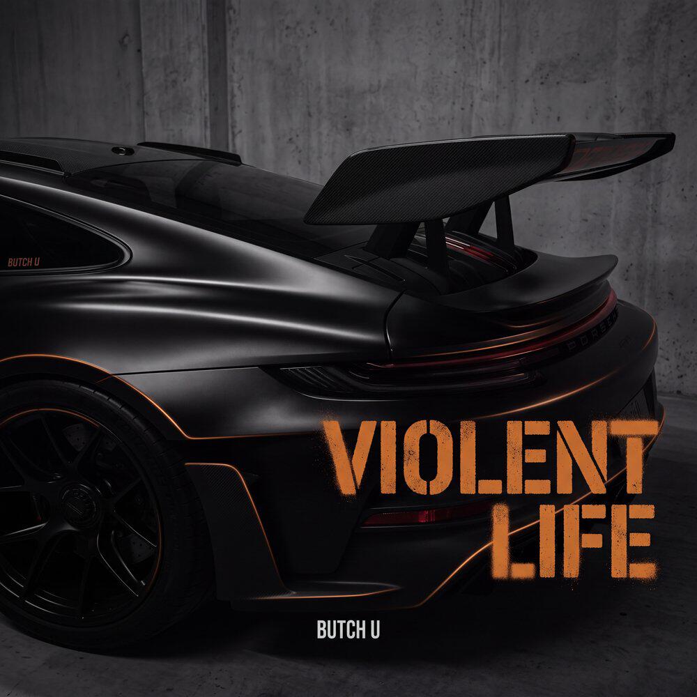 Релиз Violent Life