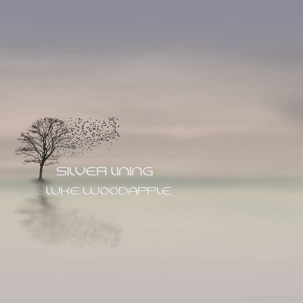 Релиз Silver Lining