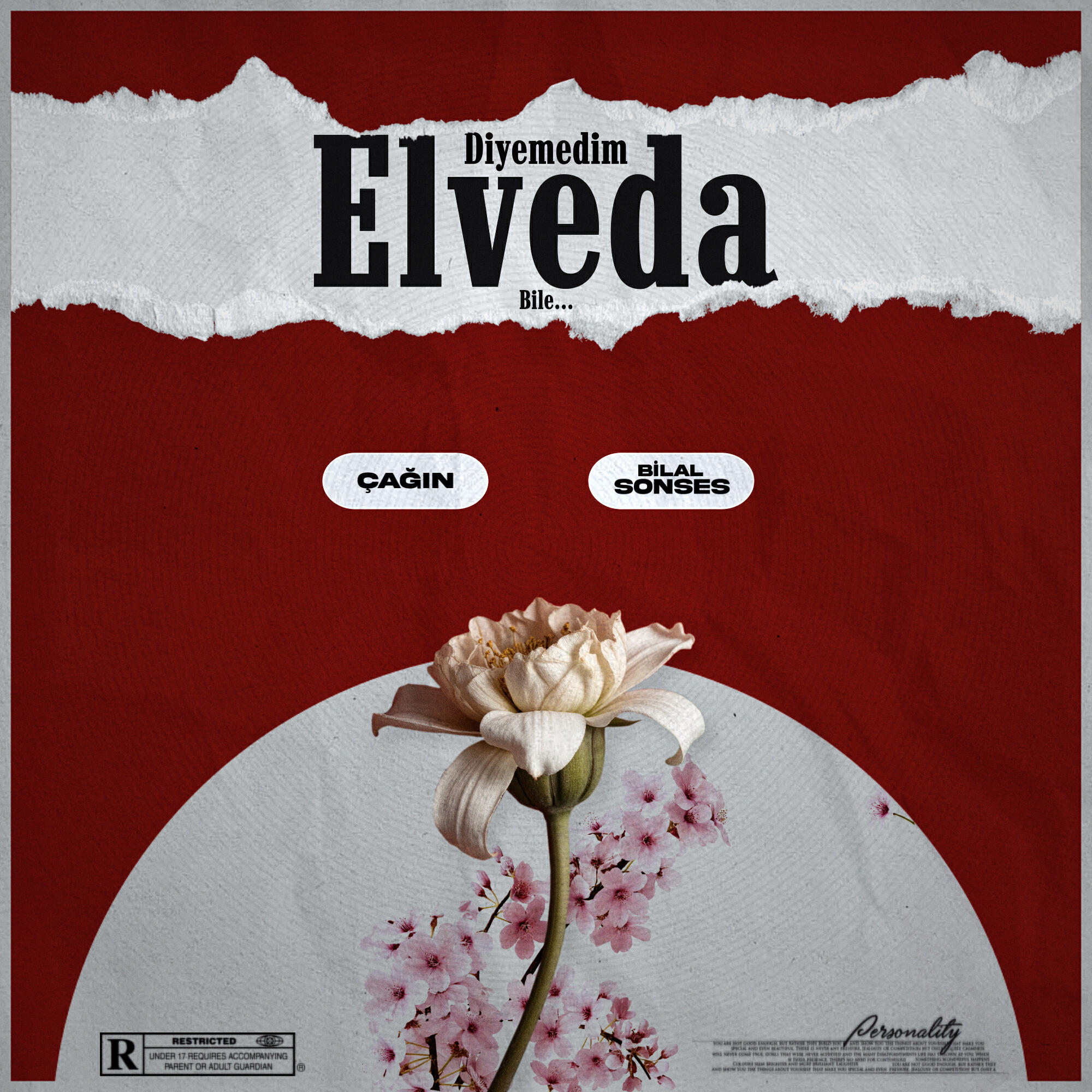 Релиз Diyemedim Elveda