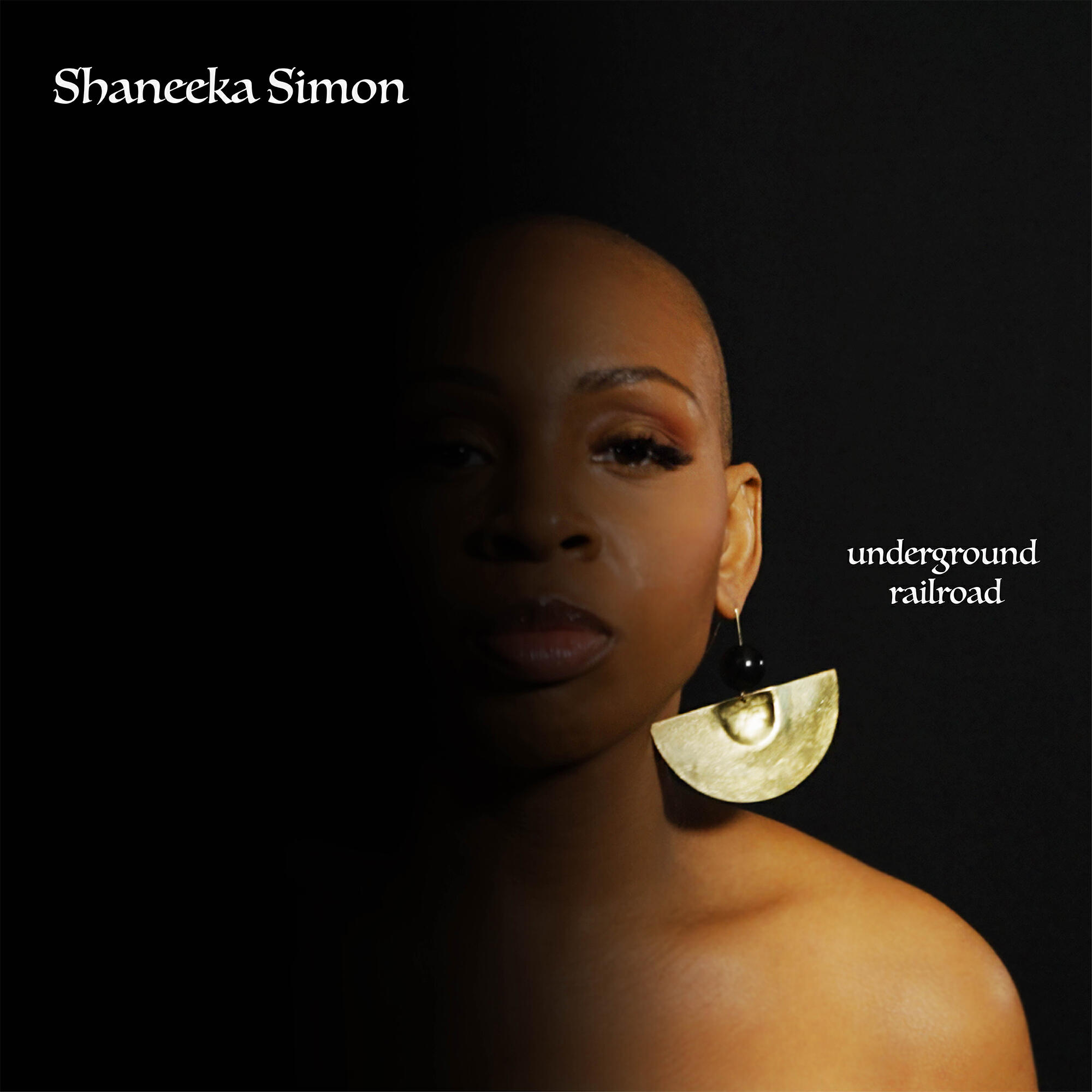 Релиз Underground Railroad