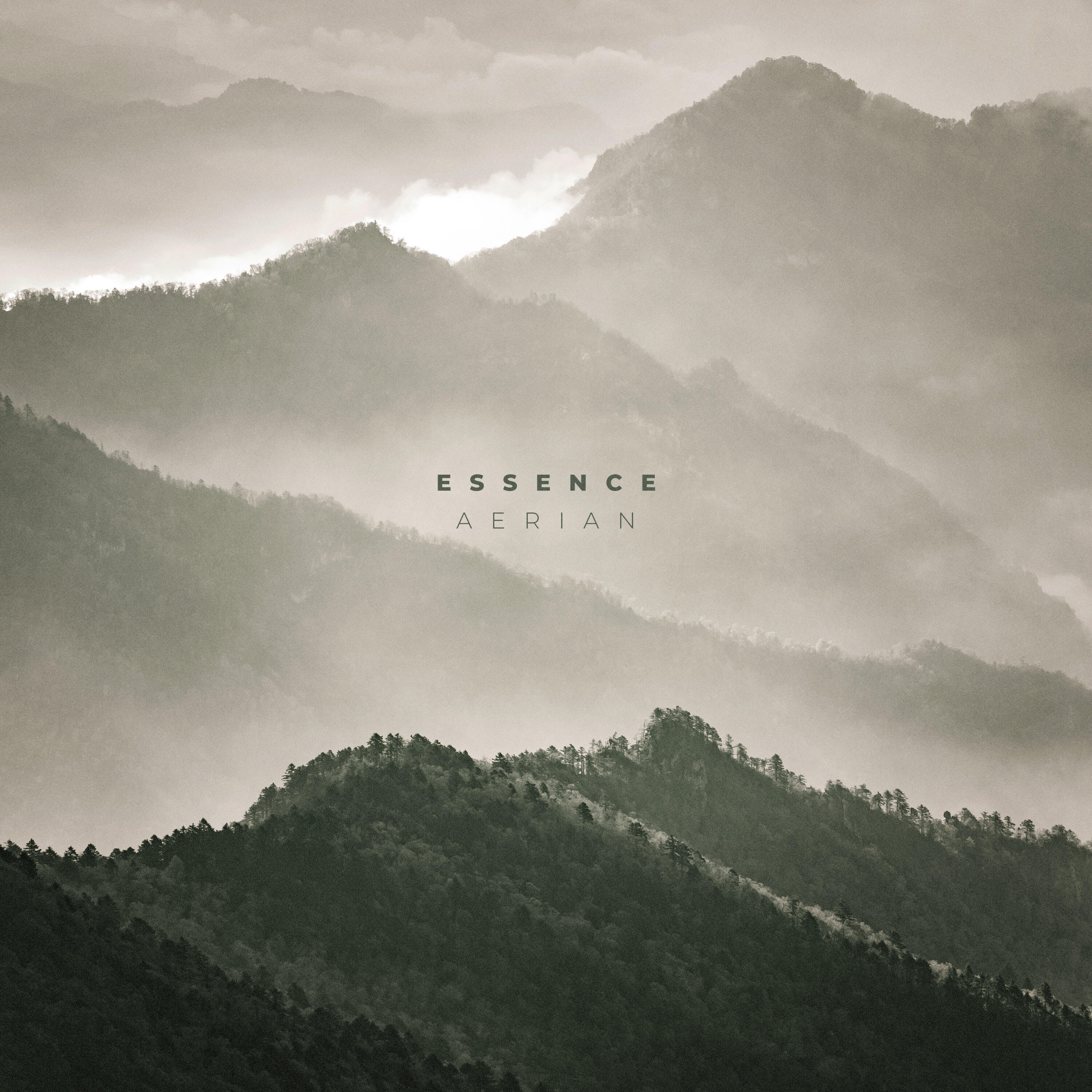 Релиз Essence