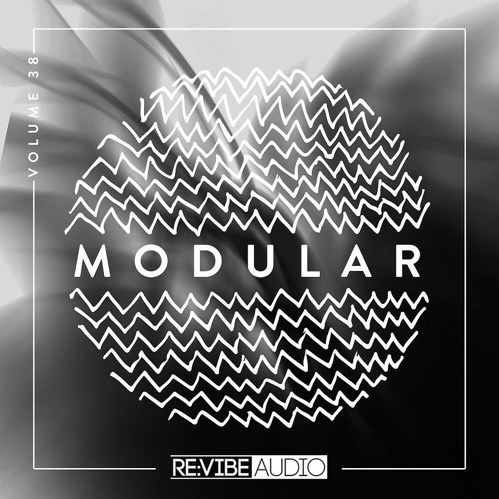 Релиз Modular, Vol. 38