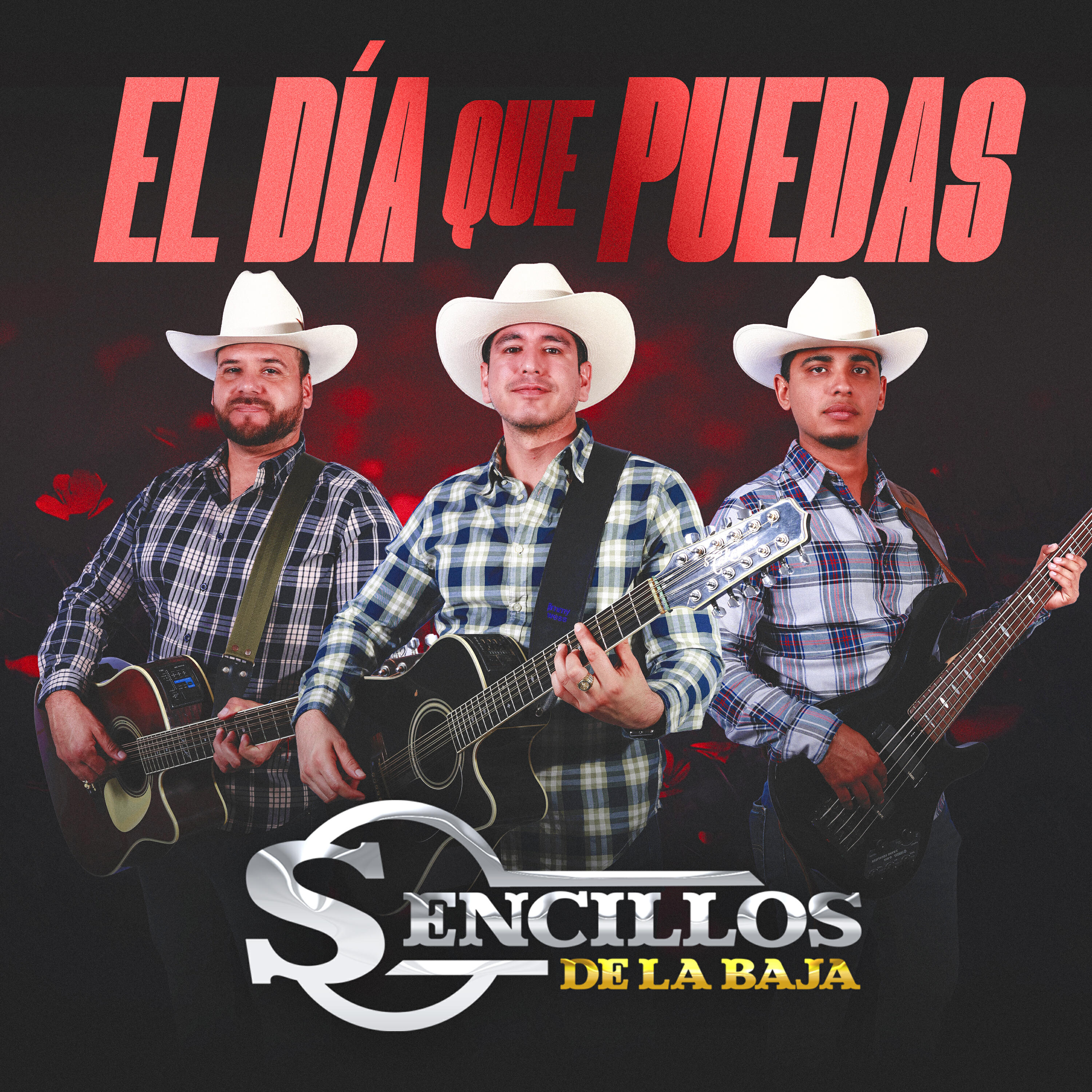 SENCILLOS DE LA BAJA