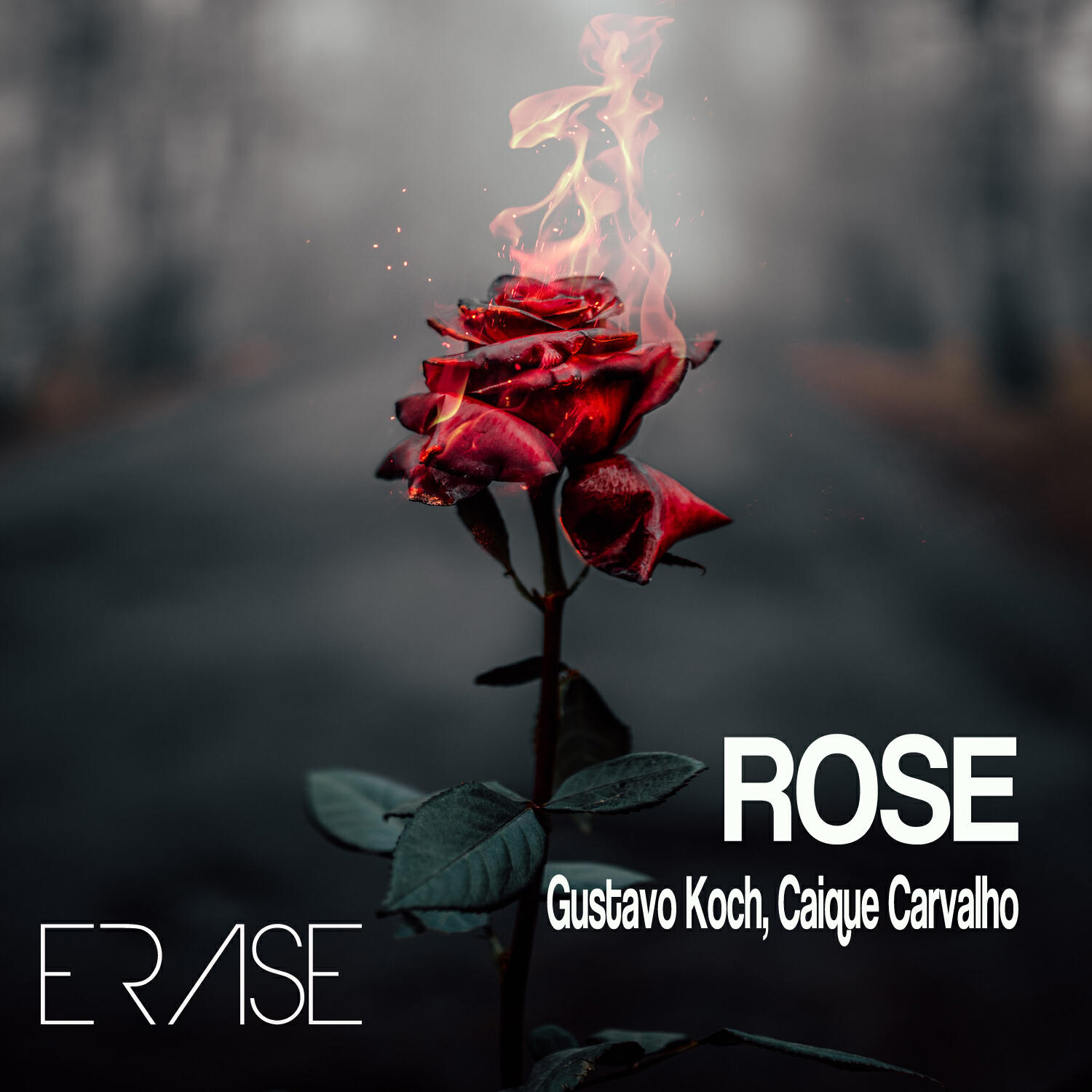 Релиз Rose