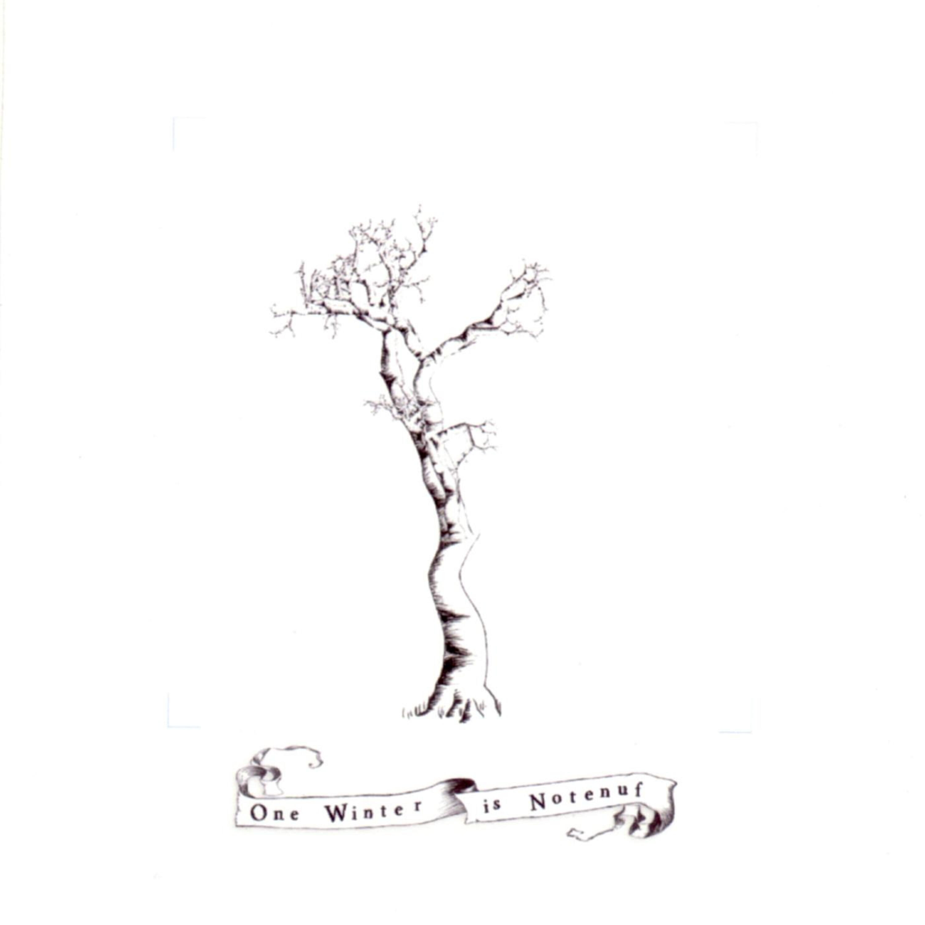 Постер альбома One Winter Is Notenuf