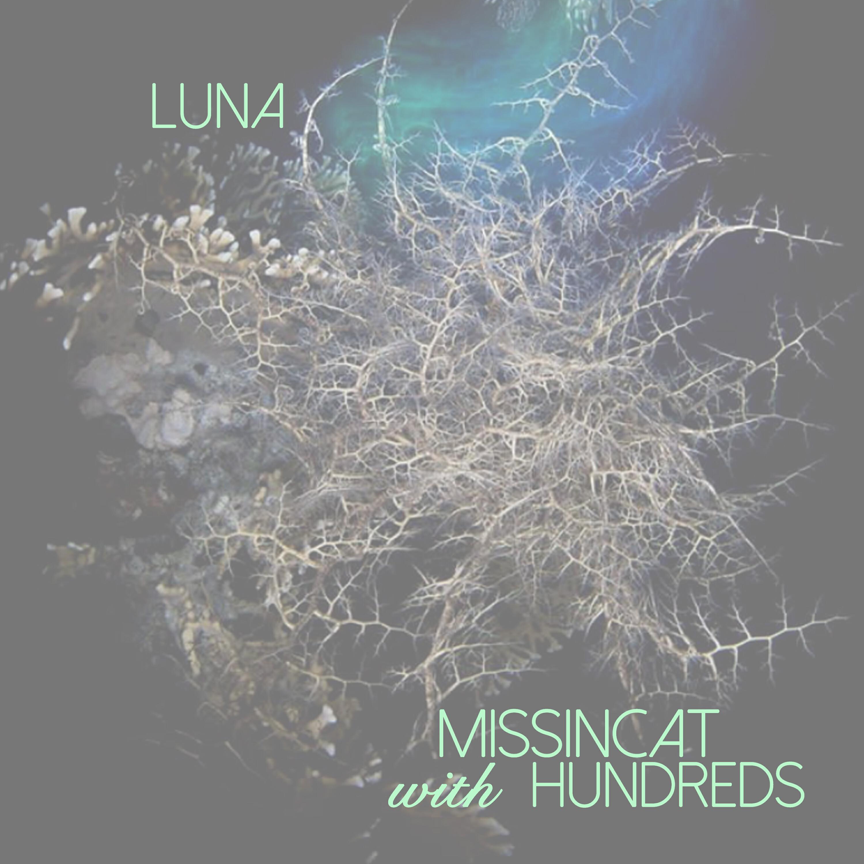 Релиз Luna