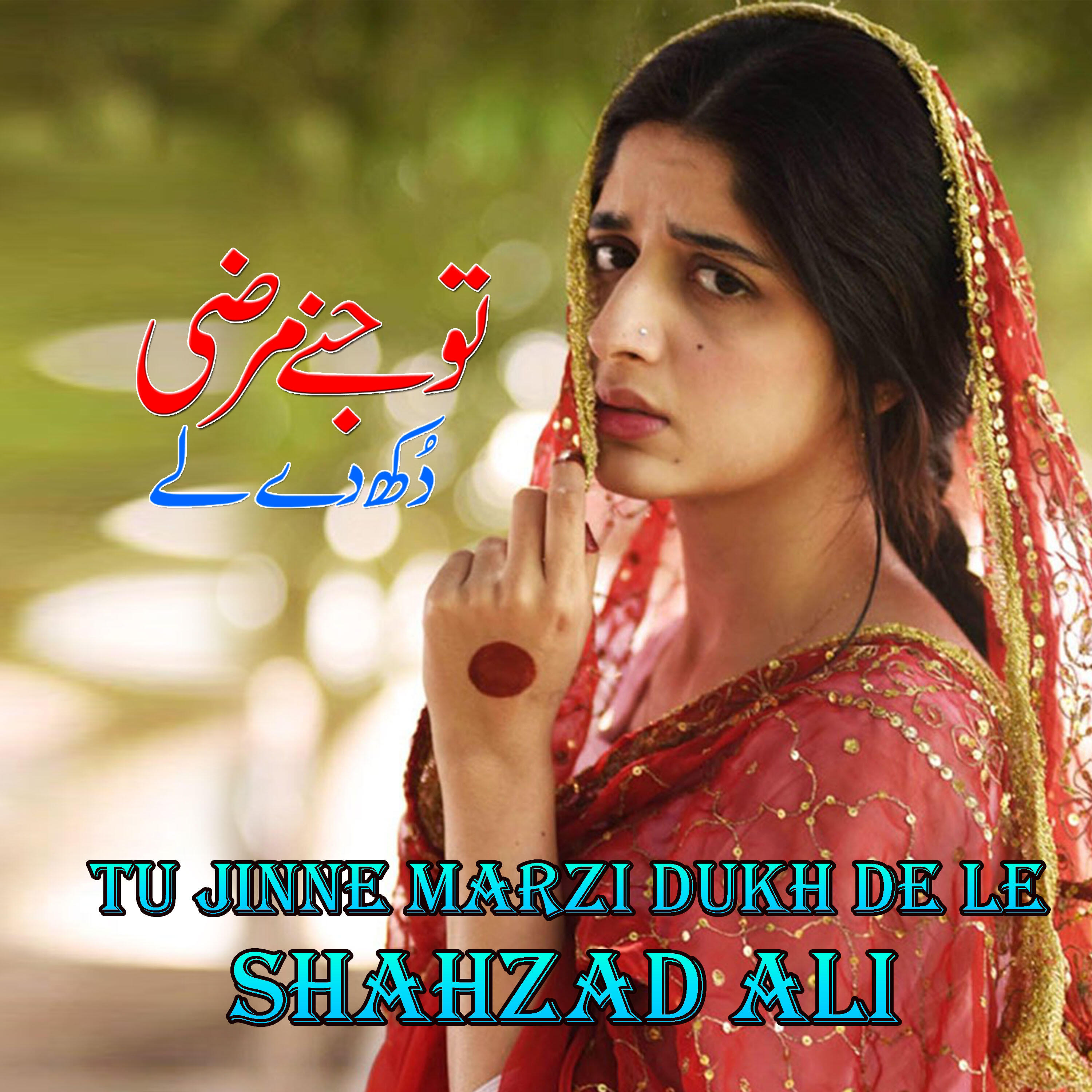 Релиз Tu Jinne Marzi Dukh De Le