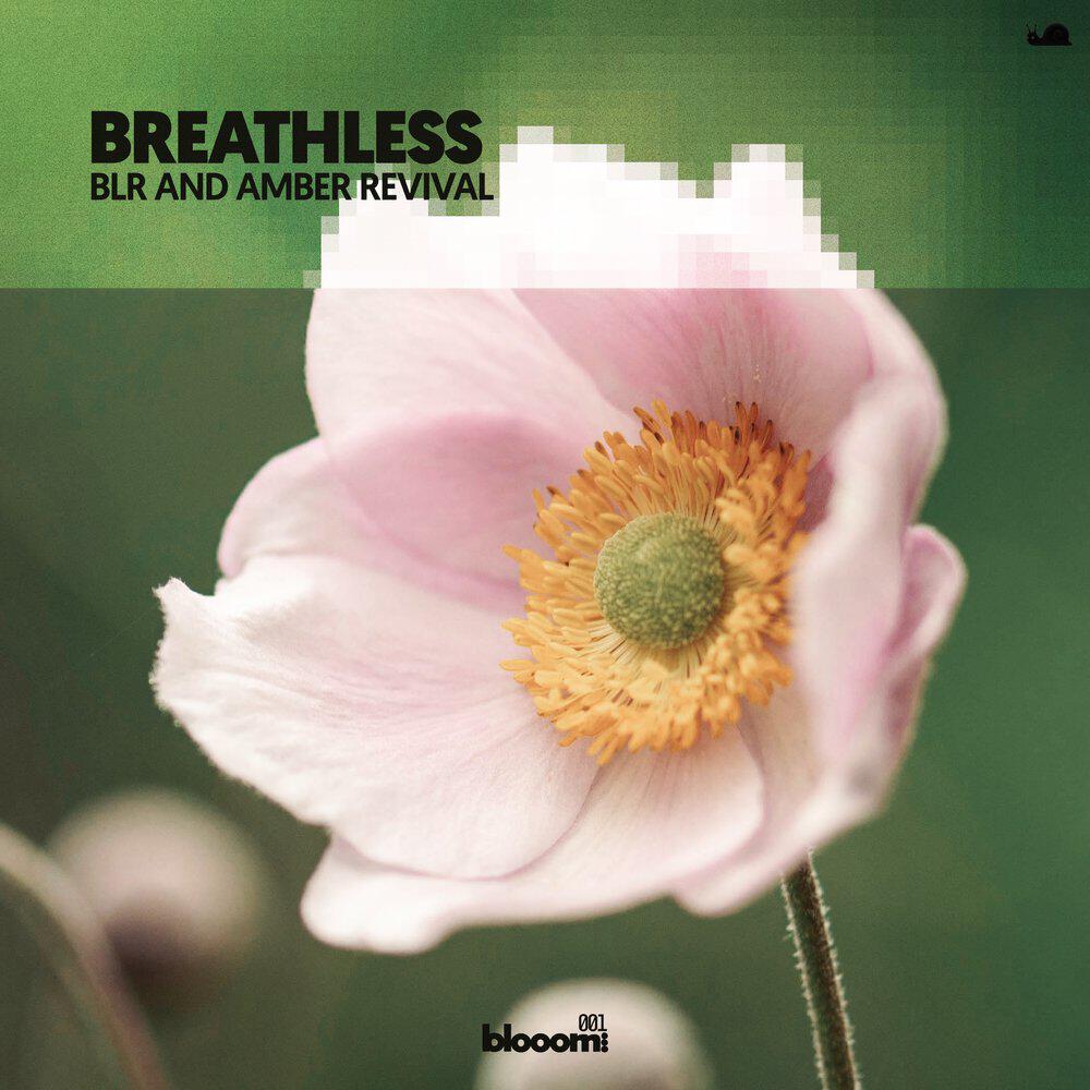 Релиз Breathless