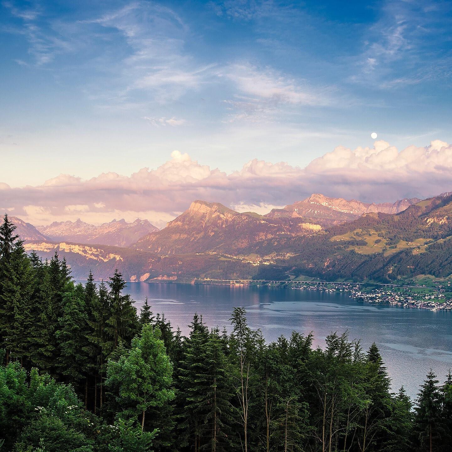 Релиз Музыкант