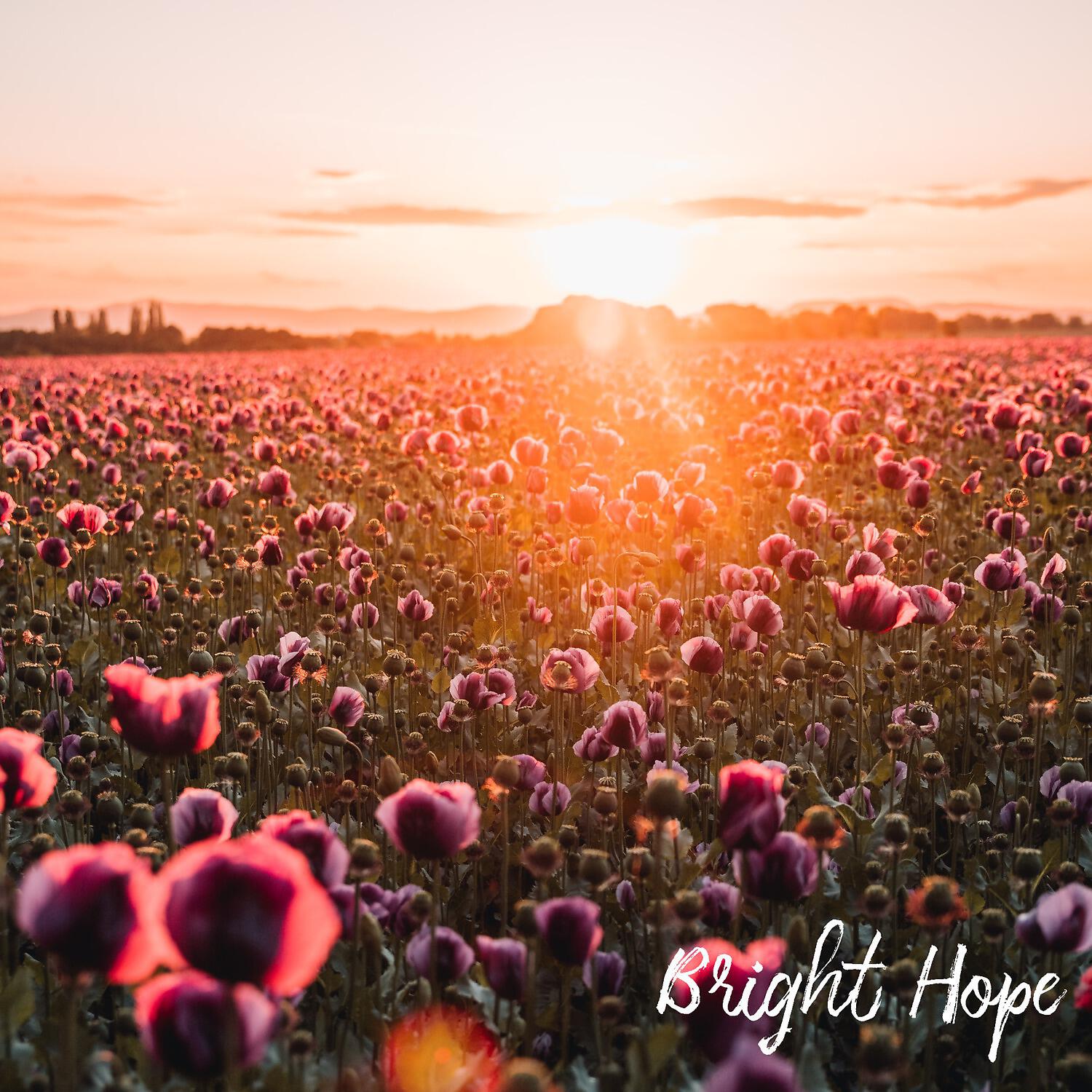 Релиз Bright Hope