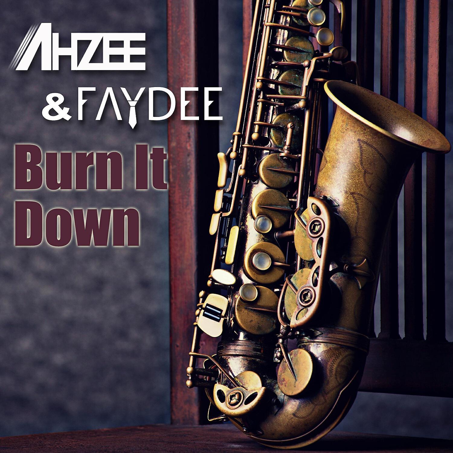 Постер альбома Burn It Down